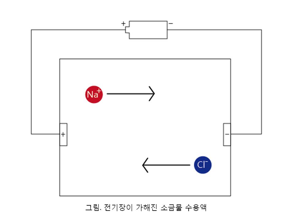 슬라이드13.JPG