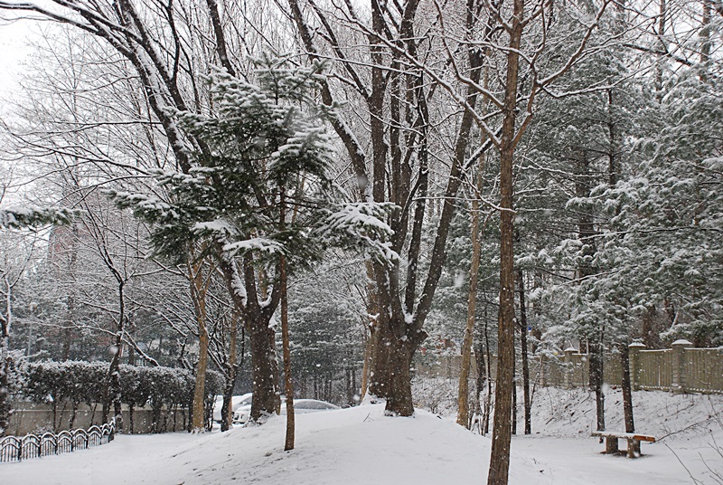 DSC_0727.JPG