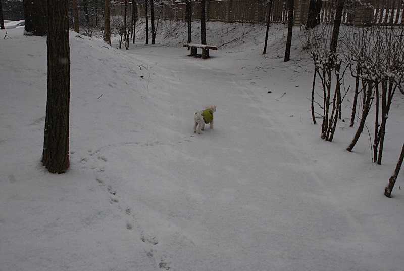 DSC_0734.JPG