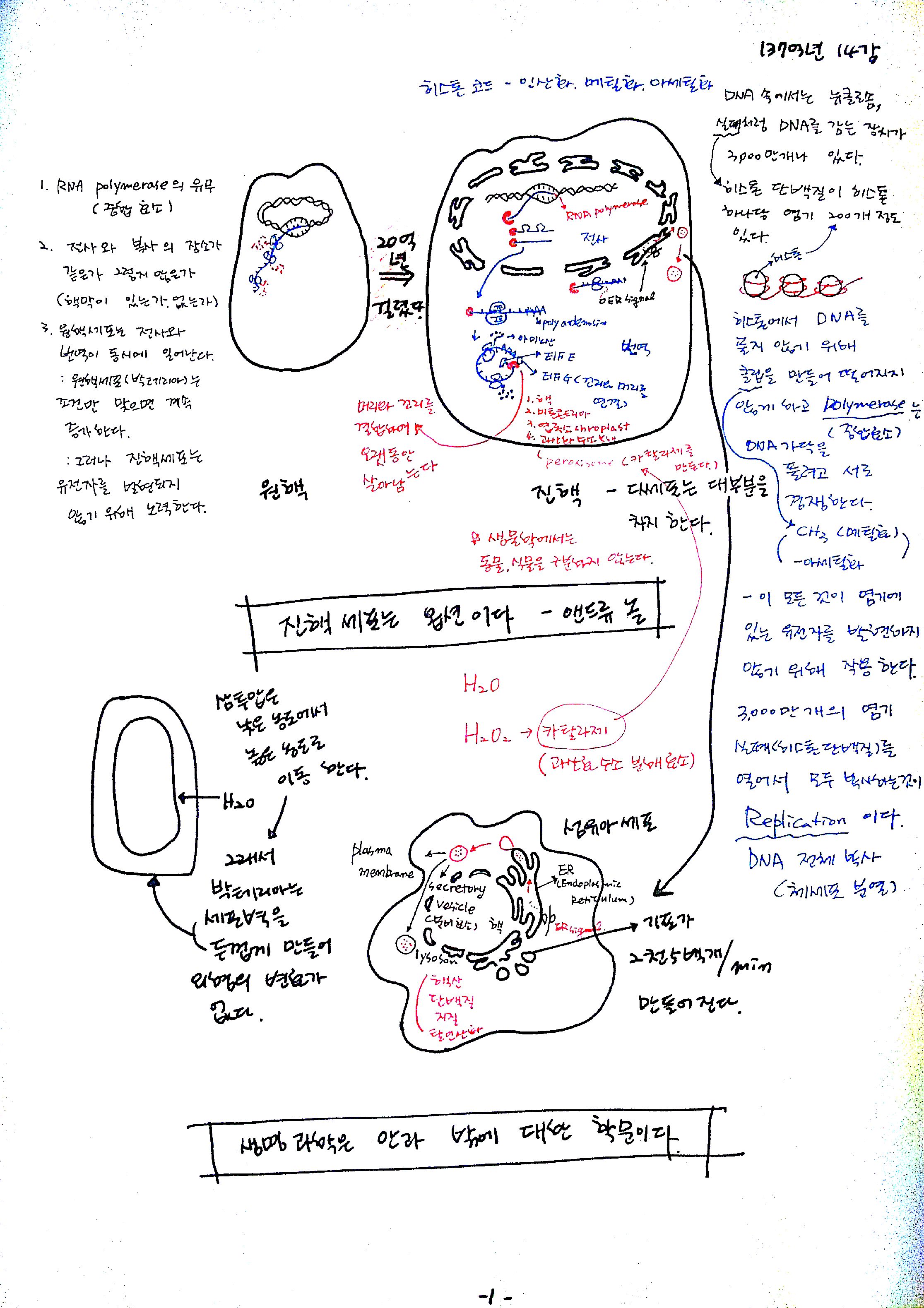 14강-1.jpg