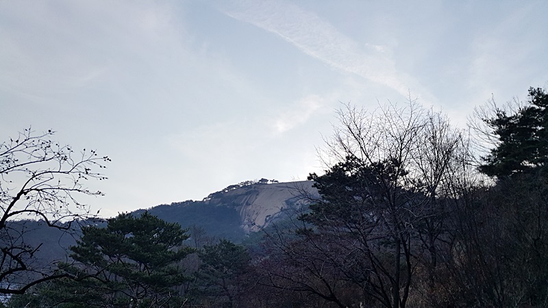 20151209_150909.jpg