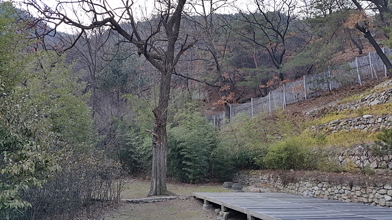 20151209_152025.jpg