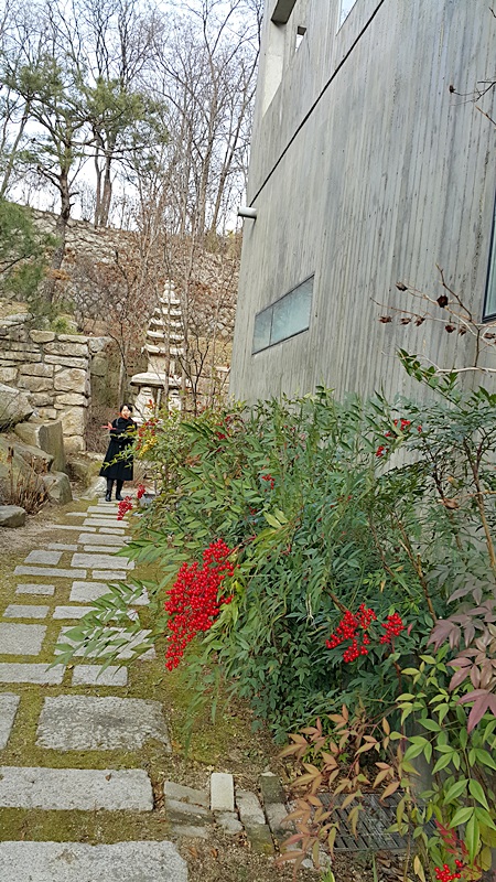 20151209_150505.jpg