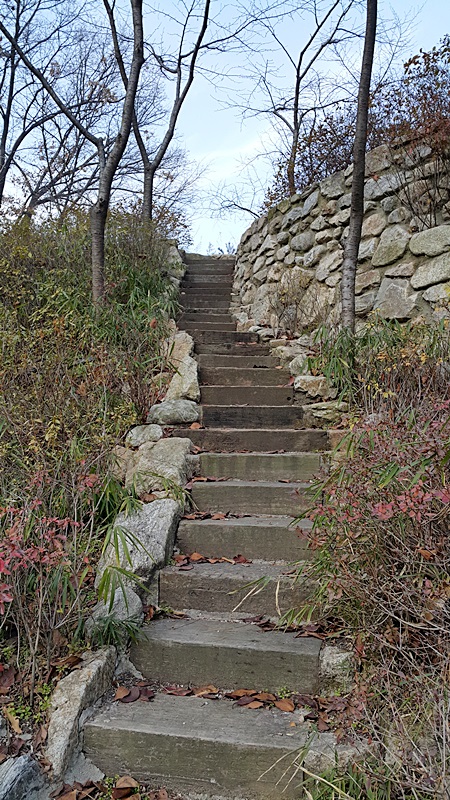 20151209_151253.jpg