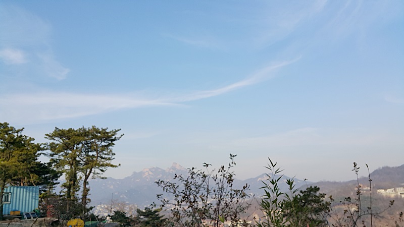 20151209_151708.jpg