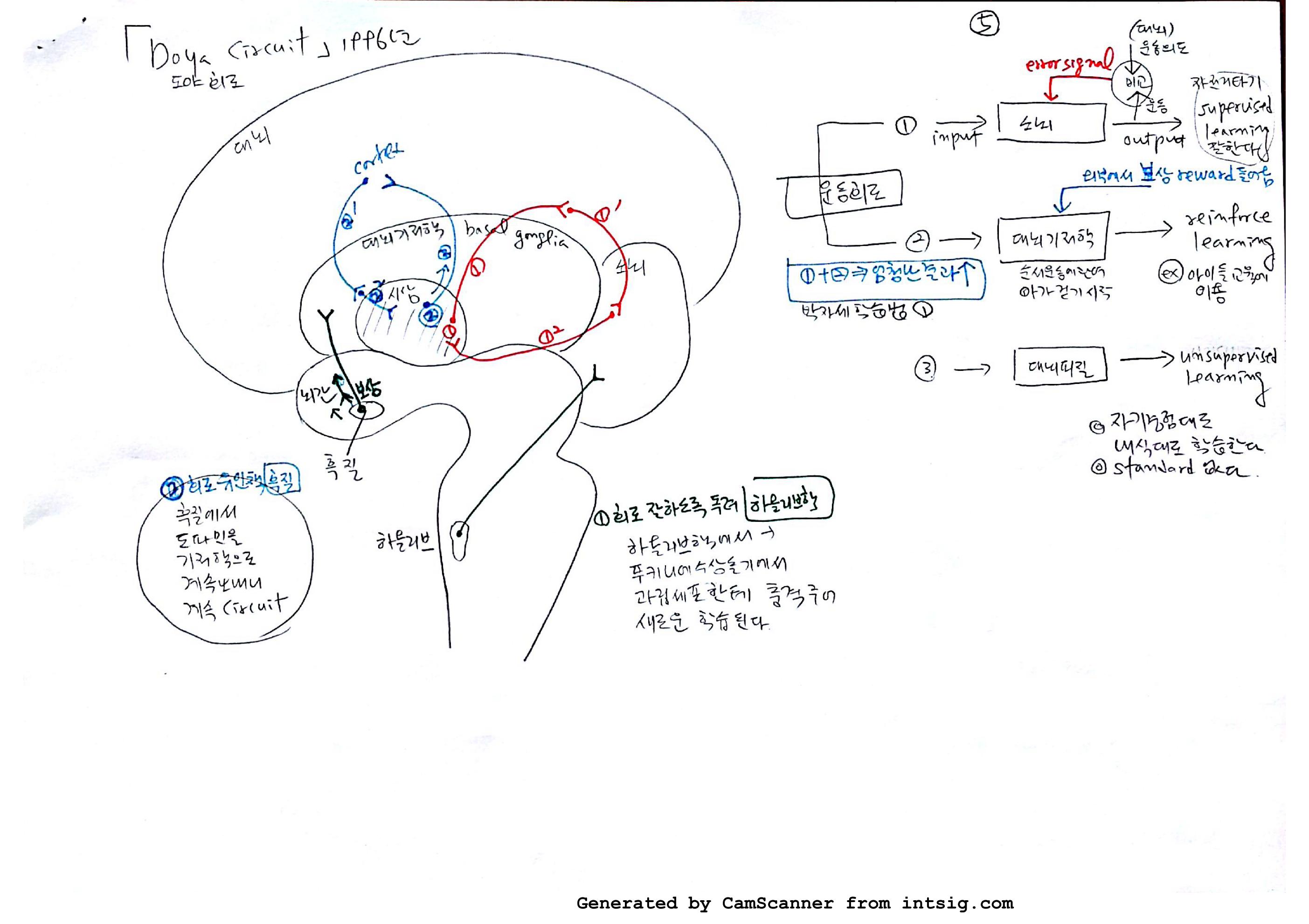 소노회로 neural circuit_05.jpg