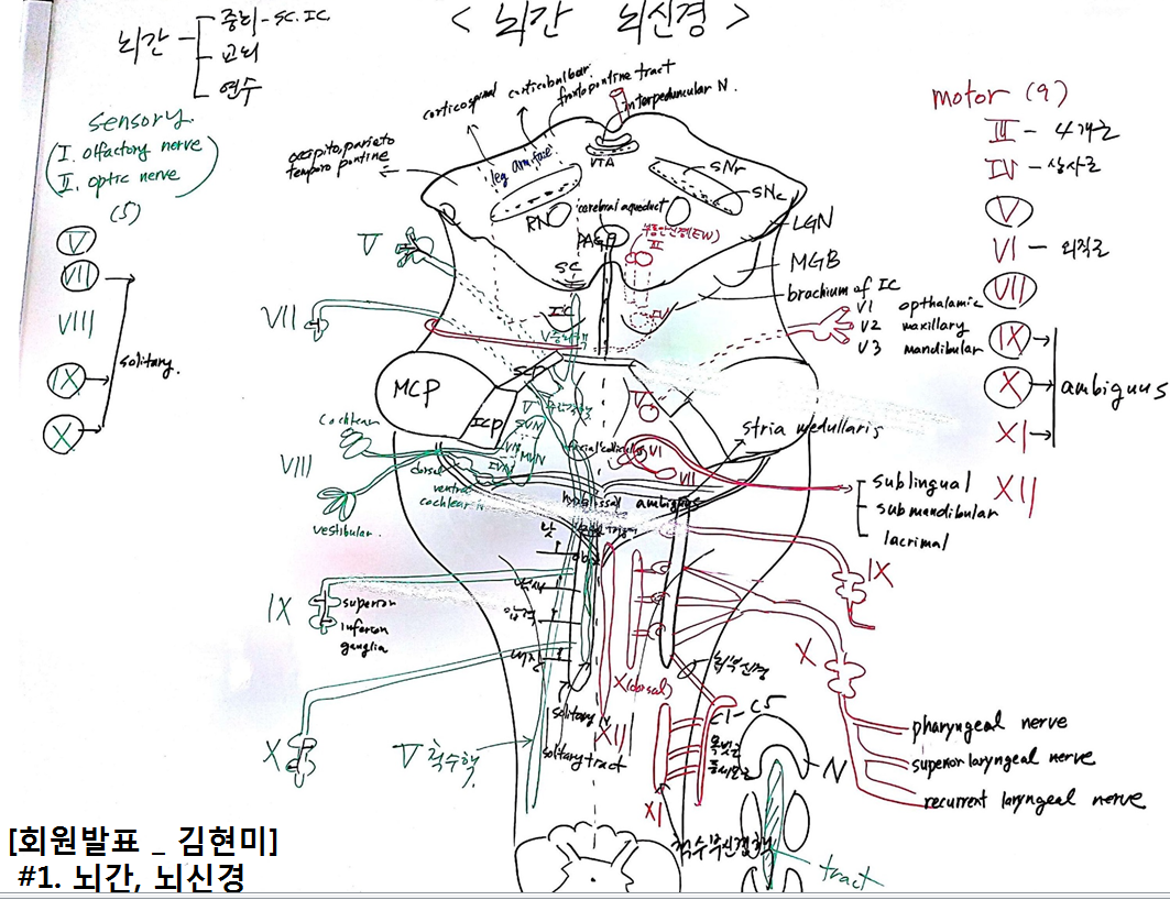 김현미 회원의 그림.png