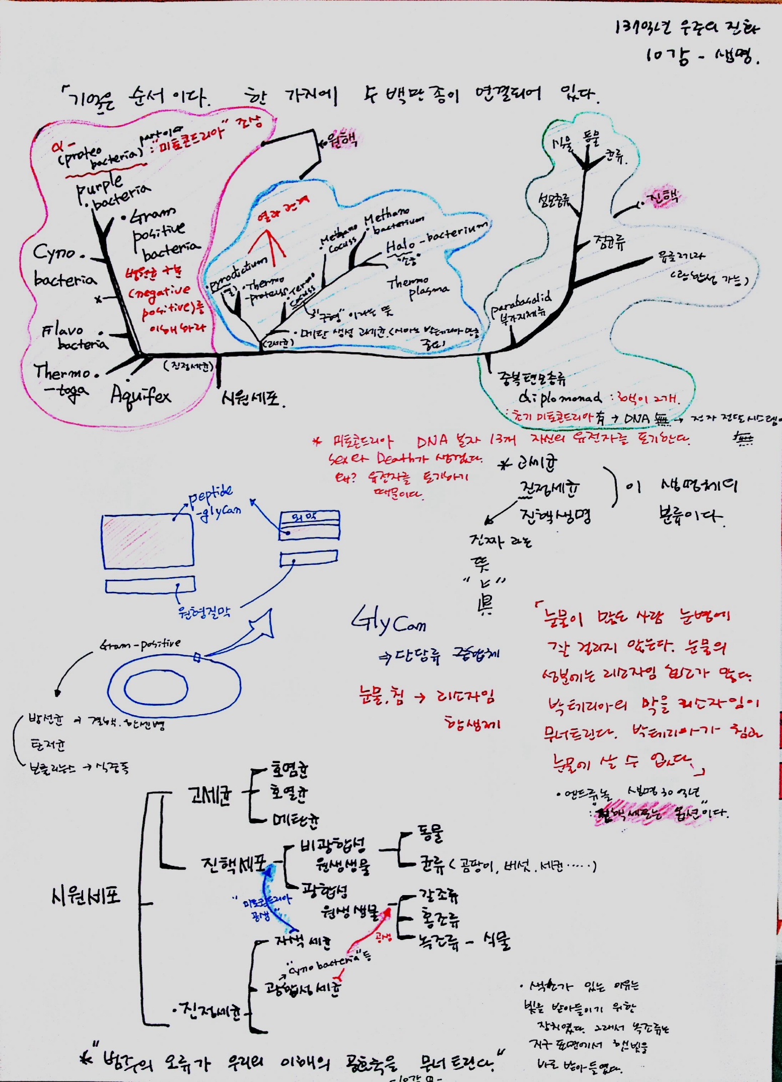 137억년 우주진화 -10강 생명01.jpg