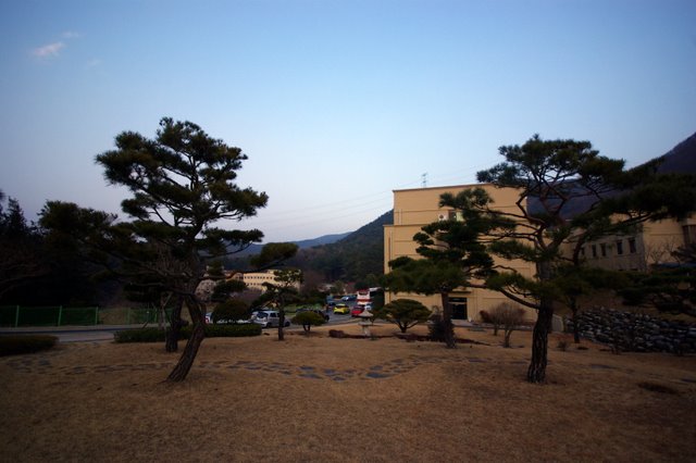 IMGP7772.JPG