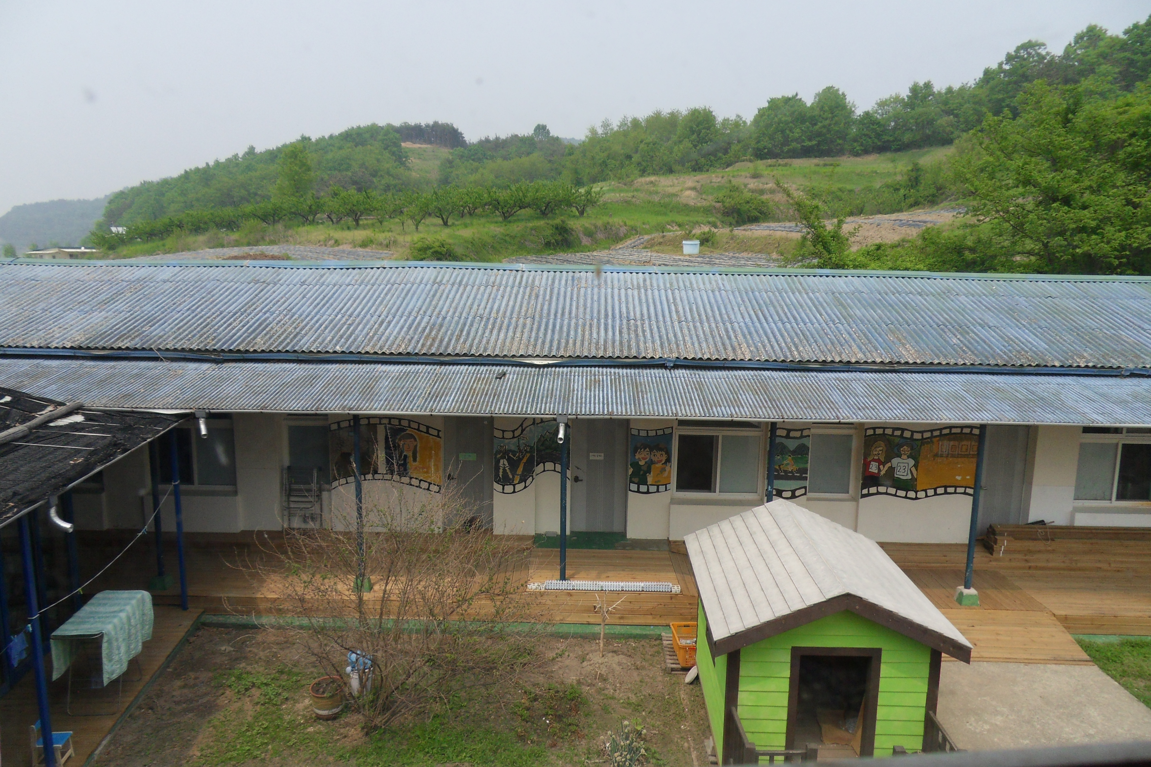 SDC12569.JPG