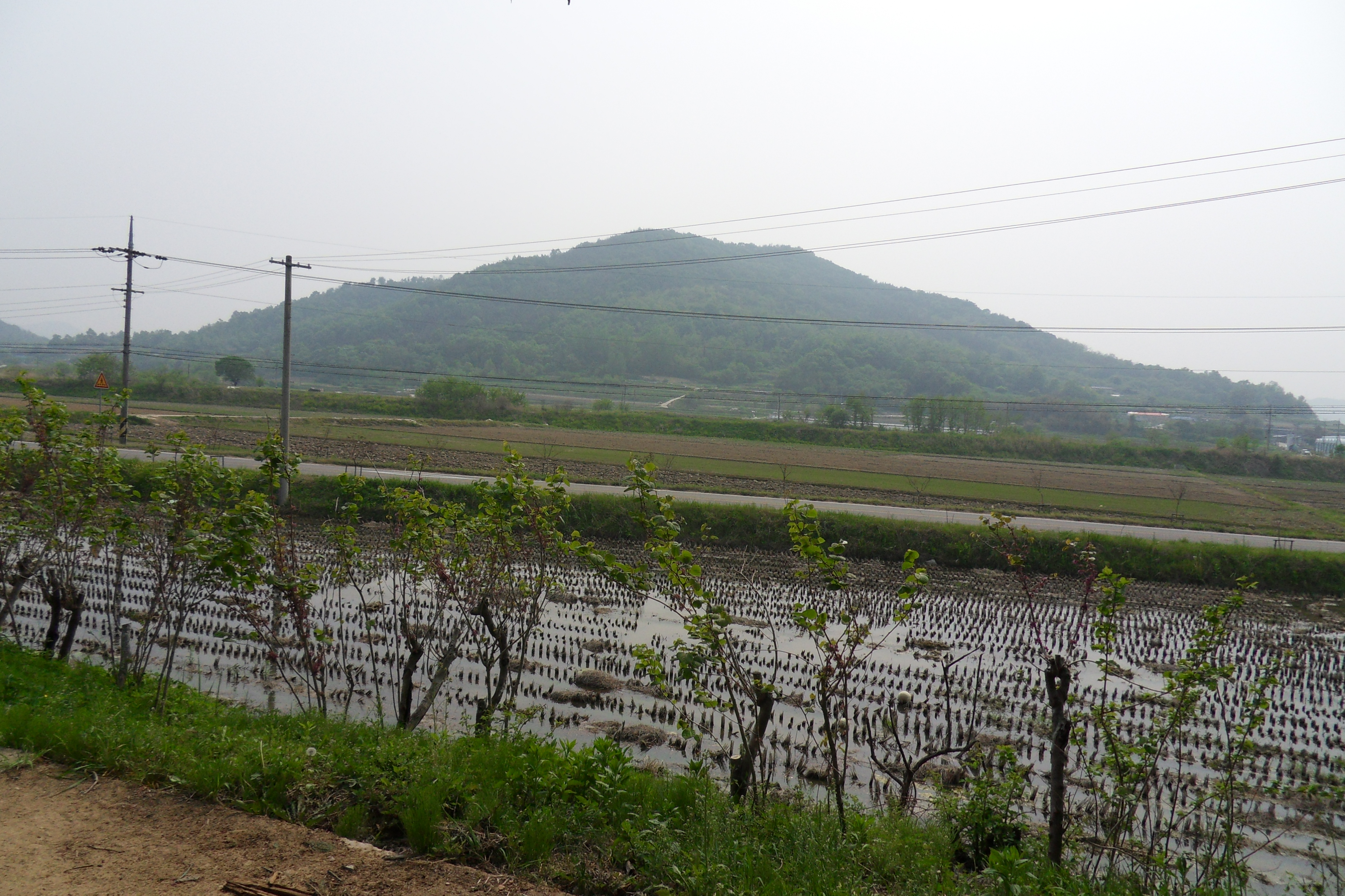 SDC12605.JPG