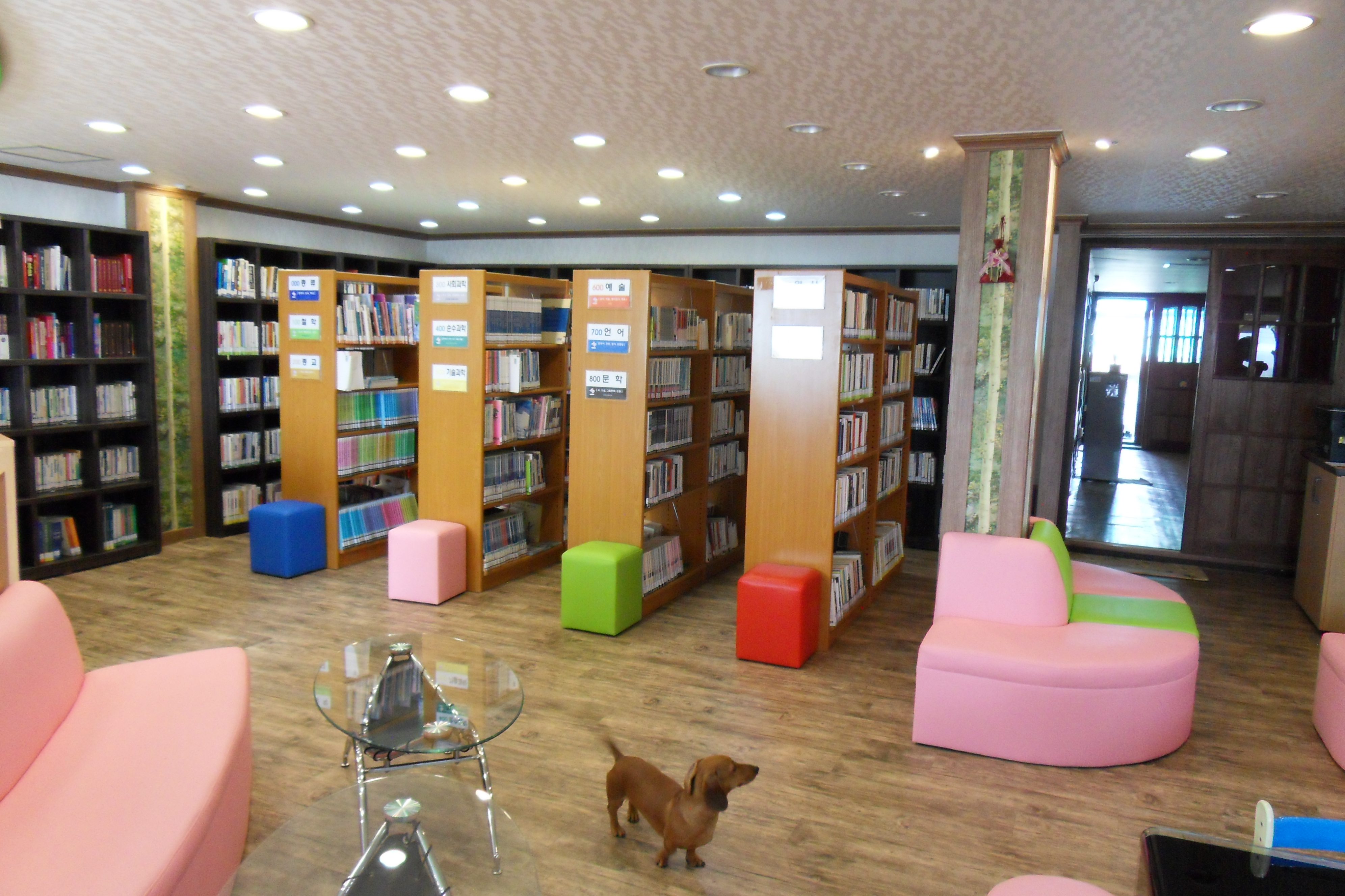 SDC12581.JPG