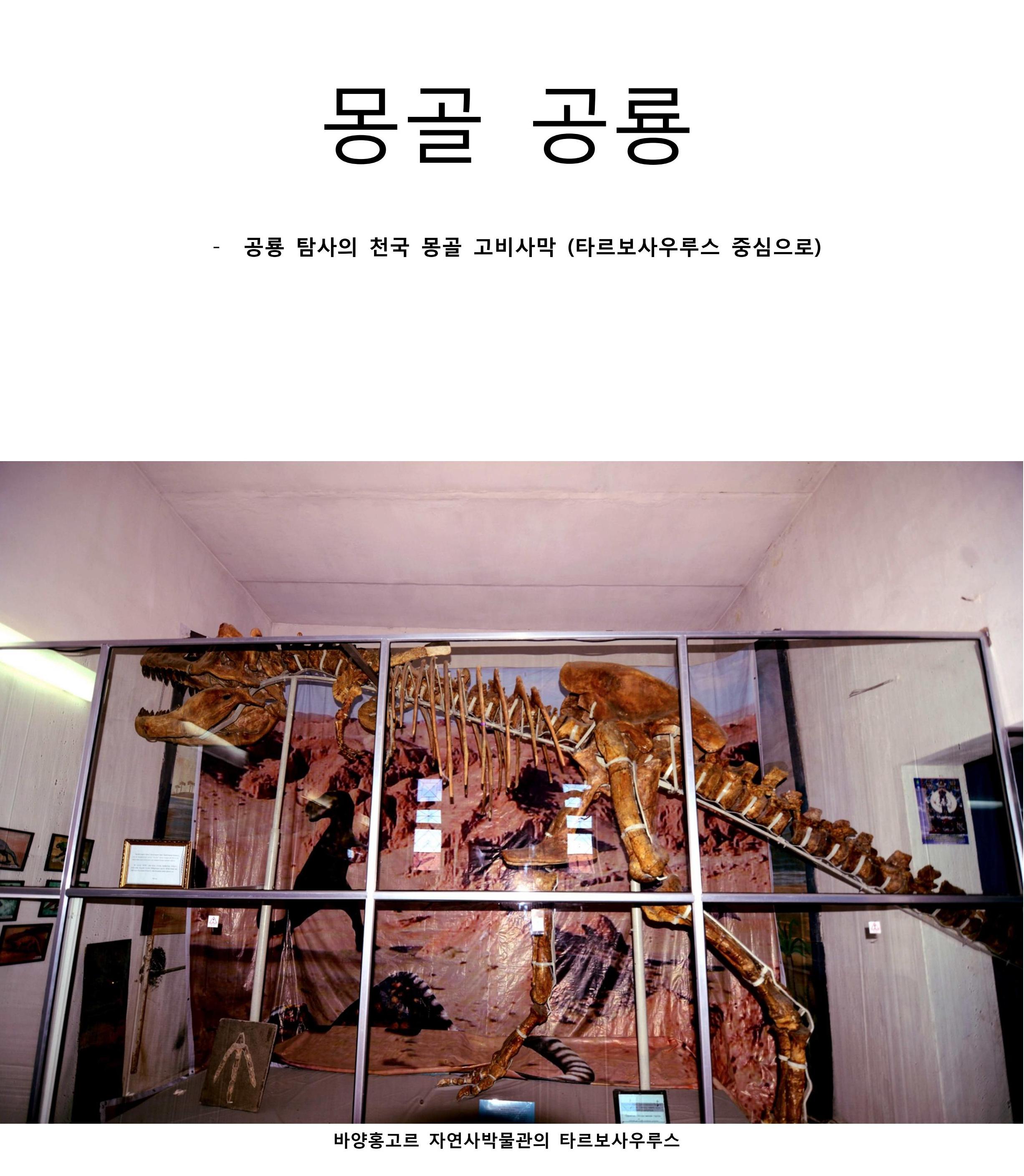 몽골 공룡_01.jpg