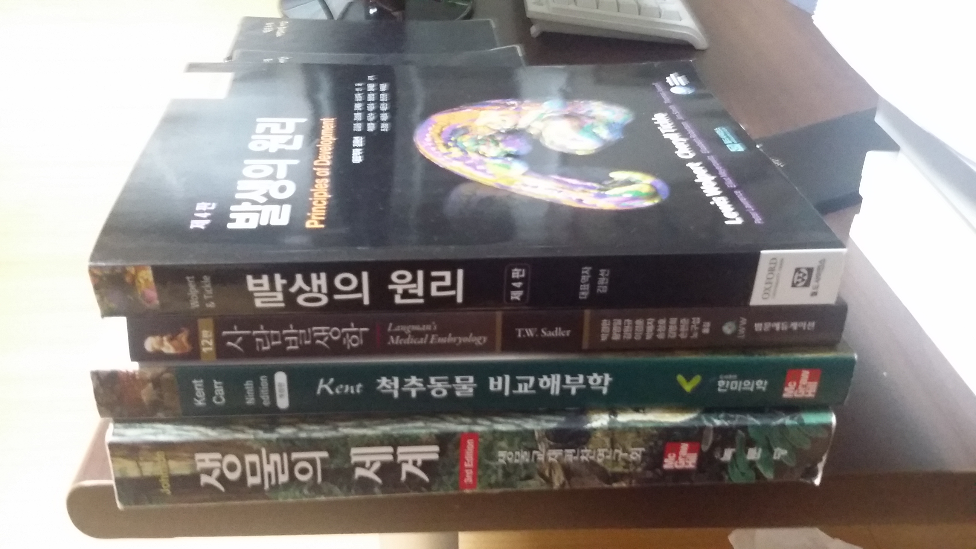 20150904_185831.jpg