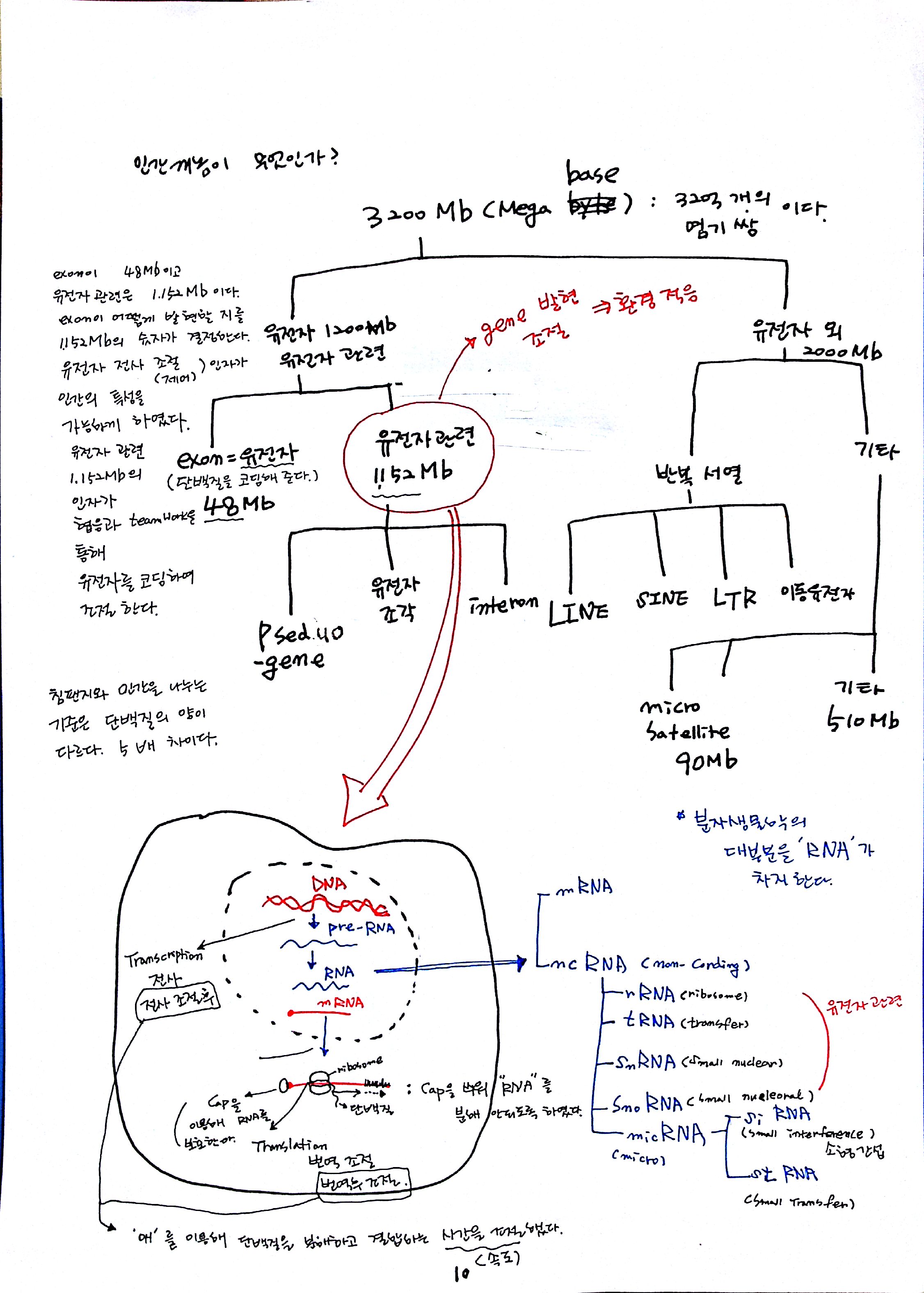 2012-07-02_13-20-56_648.jpg