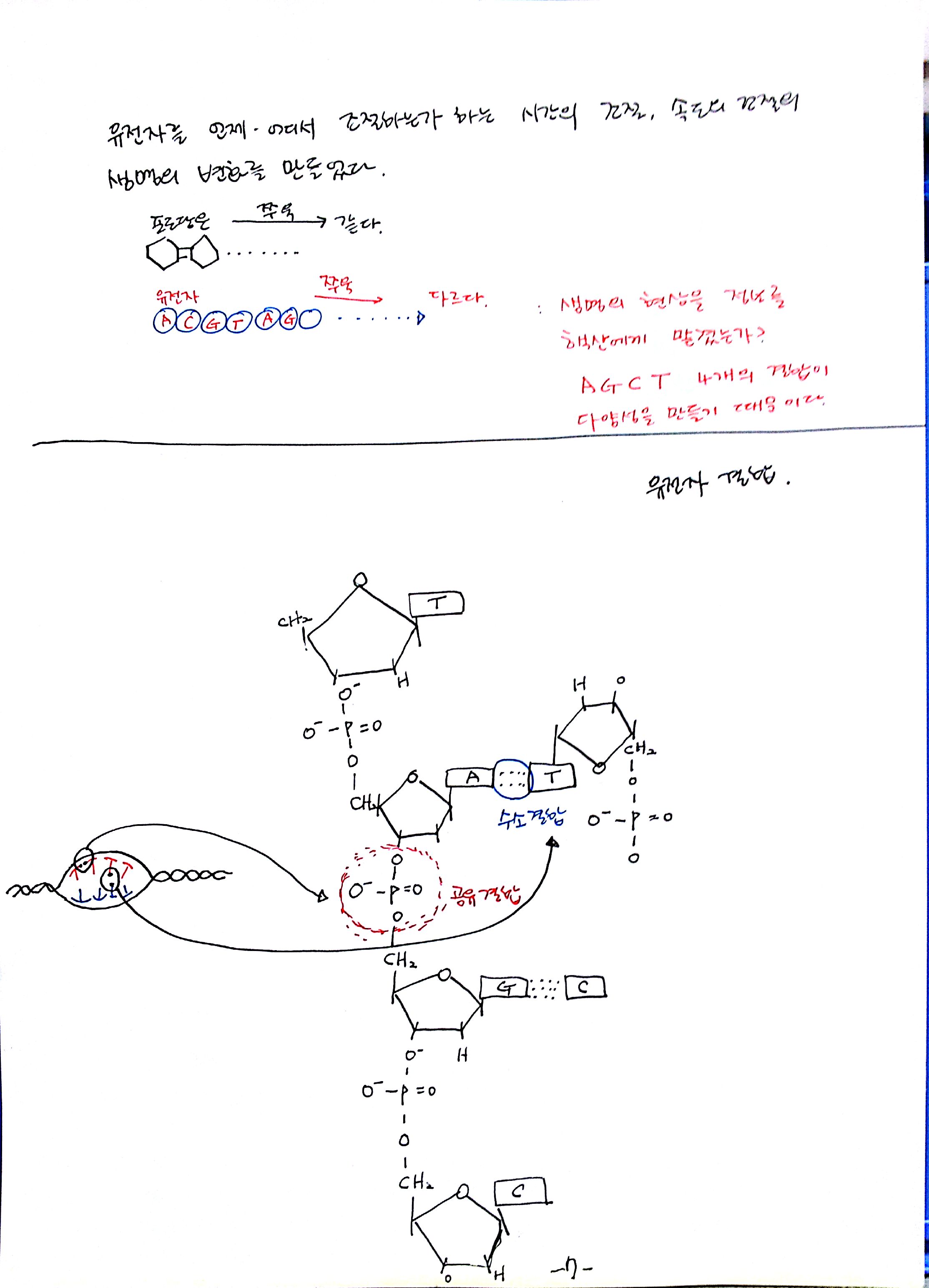 2012-07-02_13-09-31_229.jpg