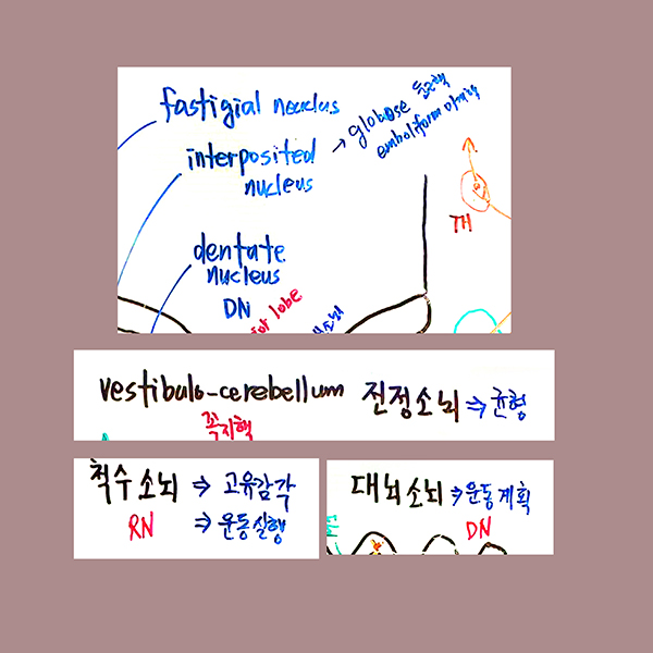 Untitle--d-5.jpg