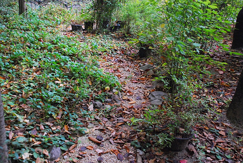DSC_0954.JPG