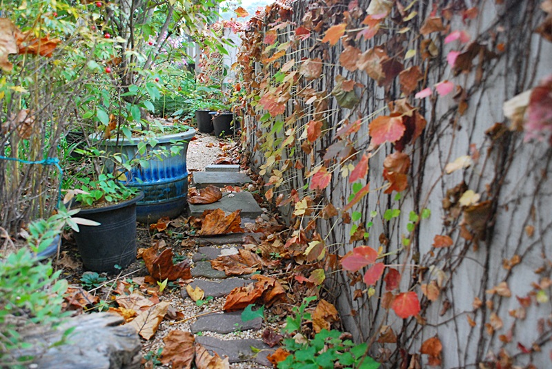 DSC_0894.JPG