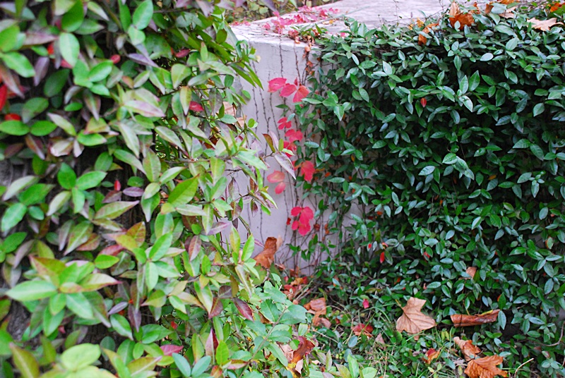 DSC_0941.JPG