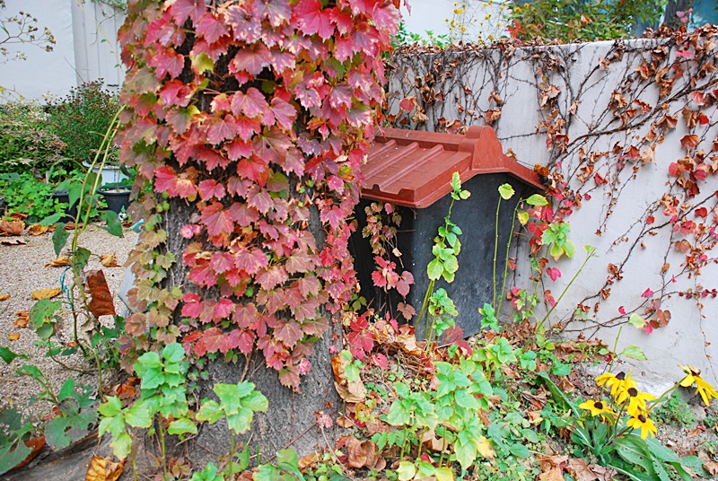 DSC_0892.JPG