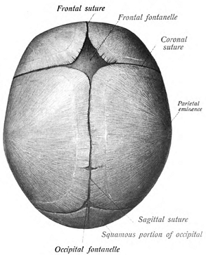 387px-Sobo_1909_105.png