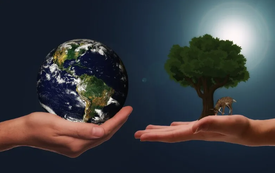 지금까지 명멸한 생명체의 개수는?