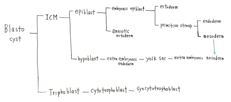 제17회 특별한 뇌과학 1강 칠판