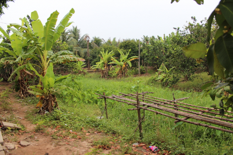 크기변환_16-3_Mekong Delta (167).JPG