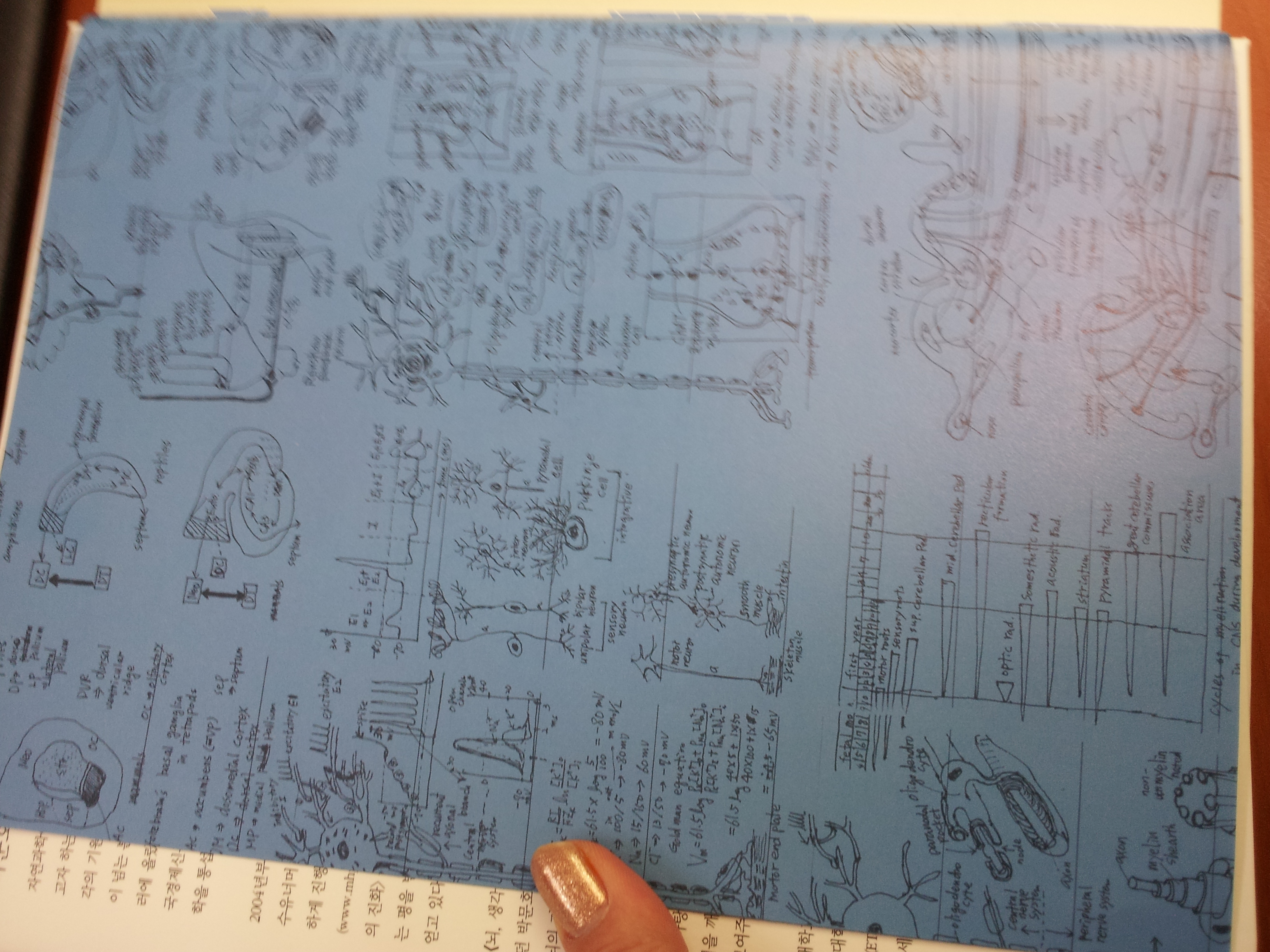 2013-04-03 15.58.11.jpg