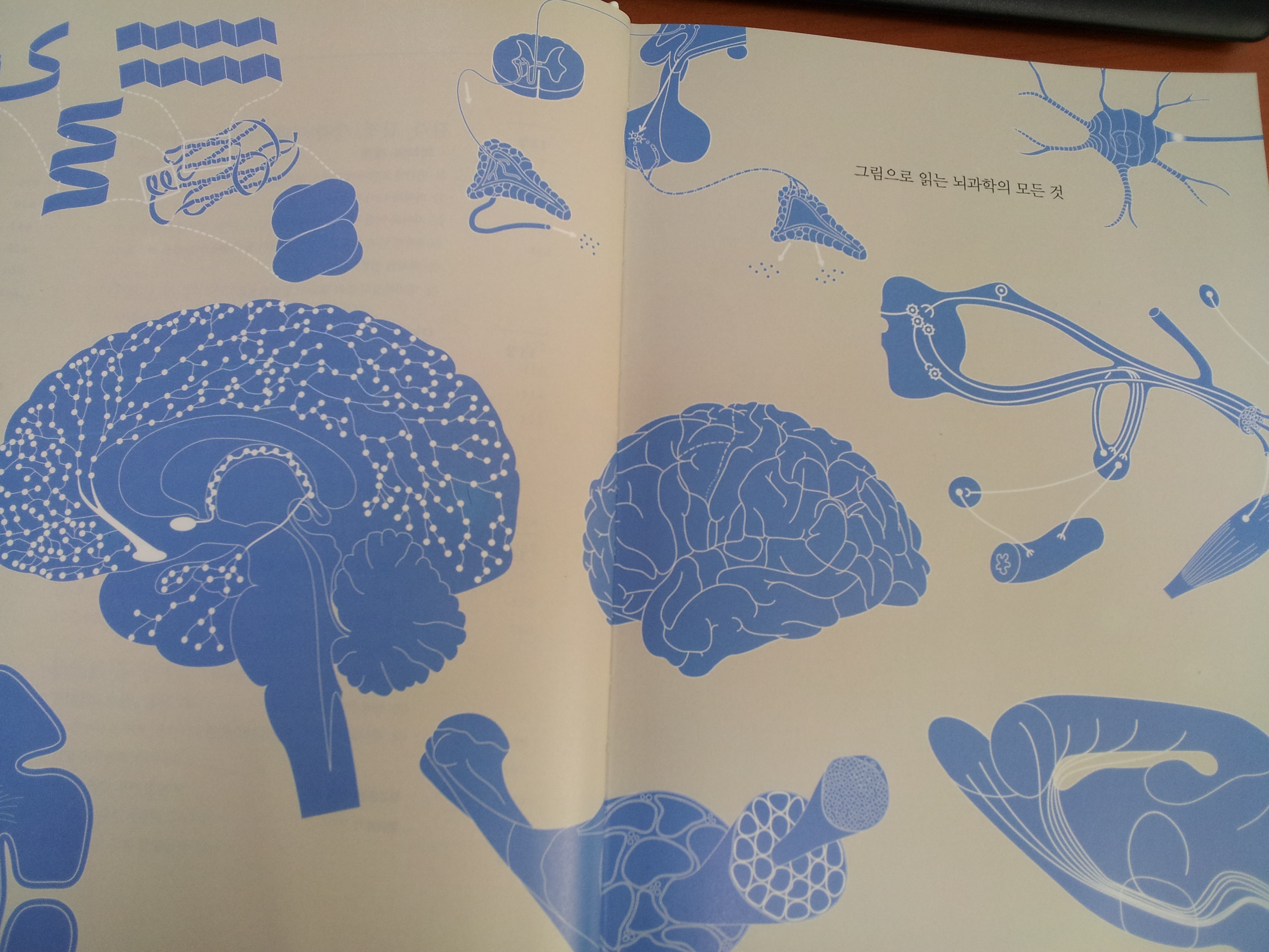 2013-04-03 15.58.39.jpg