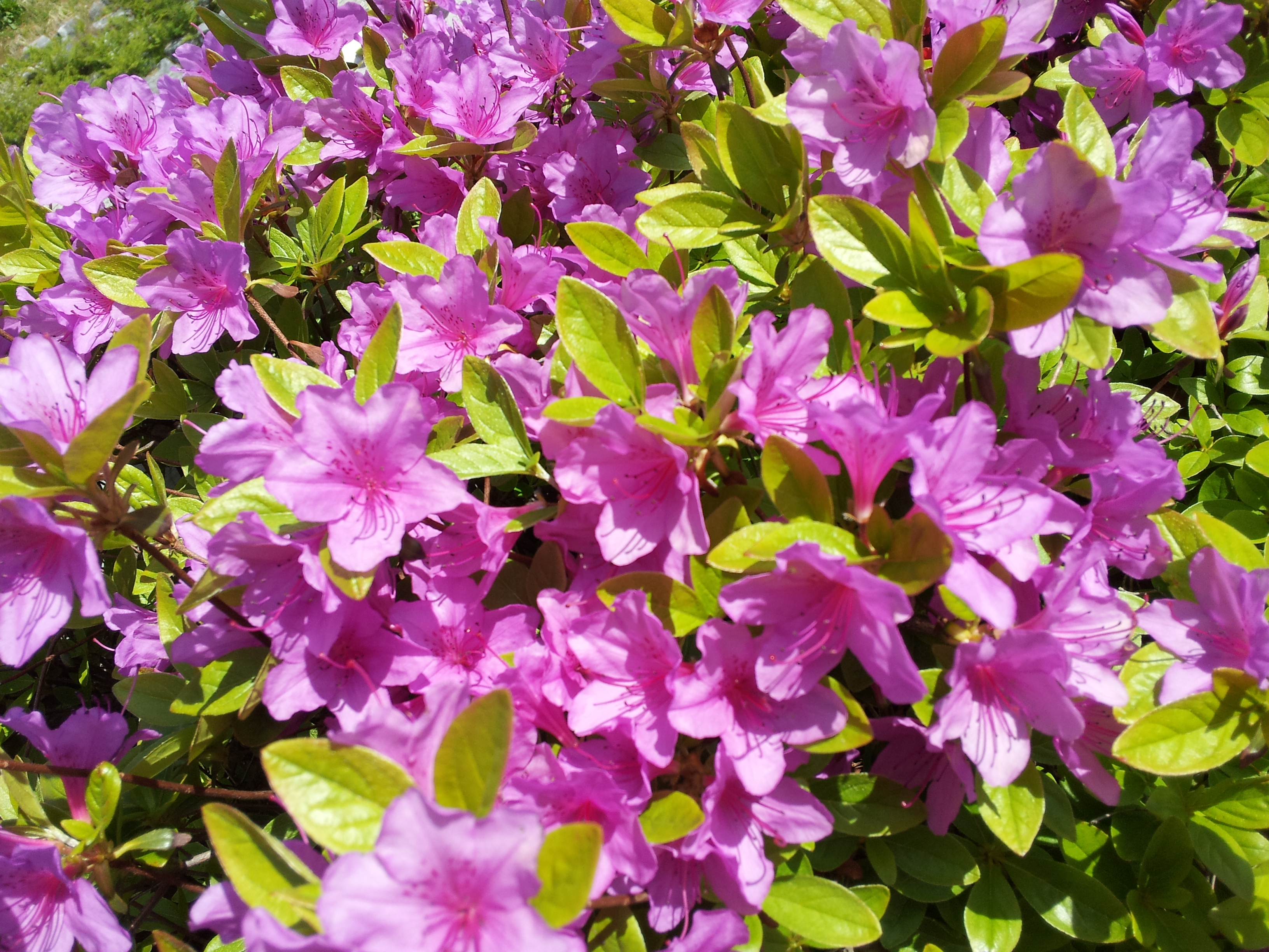 20130501_095941.jpg