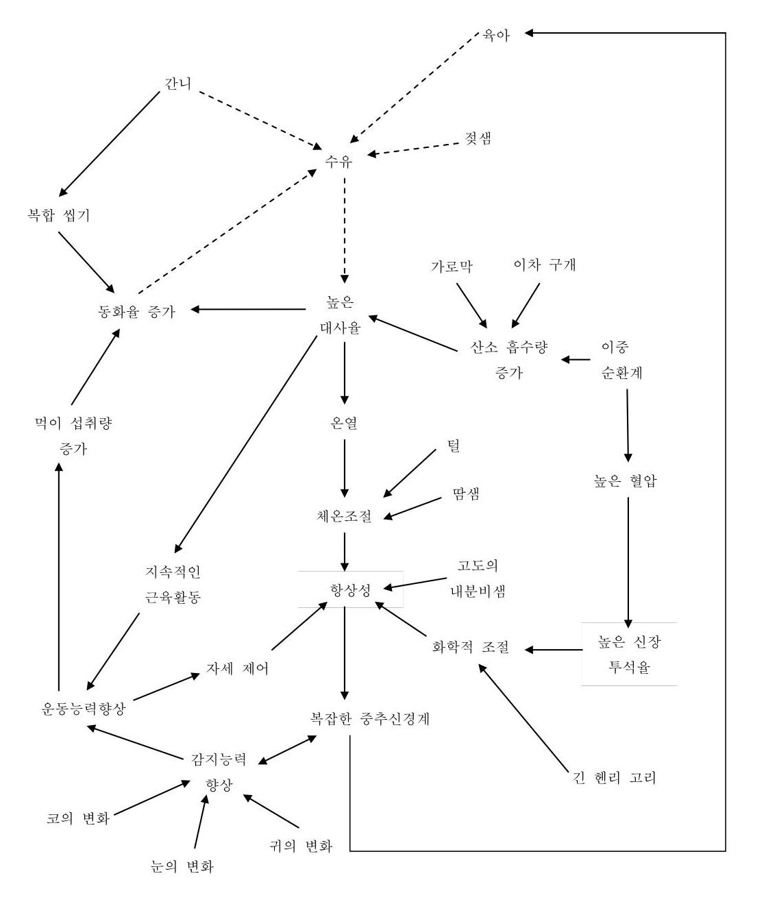 리처드 도킨스 도표.jpg