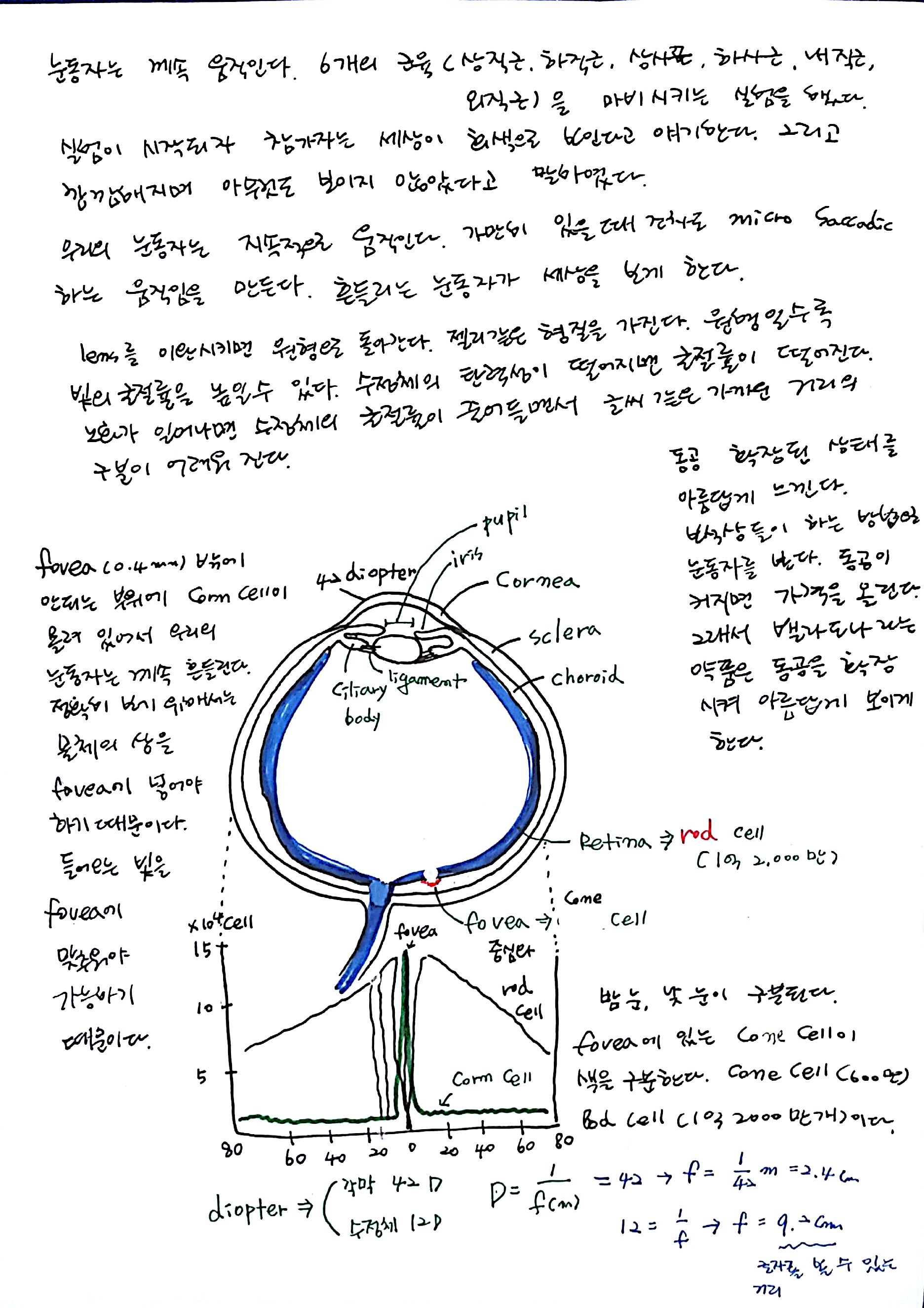 제 6회 특별한 뇌과학 1강 기억 (4).jpg