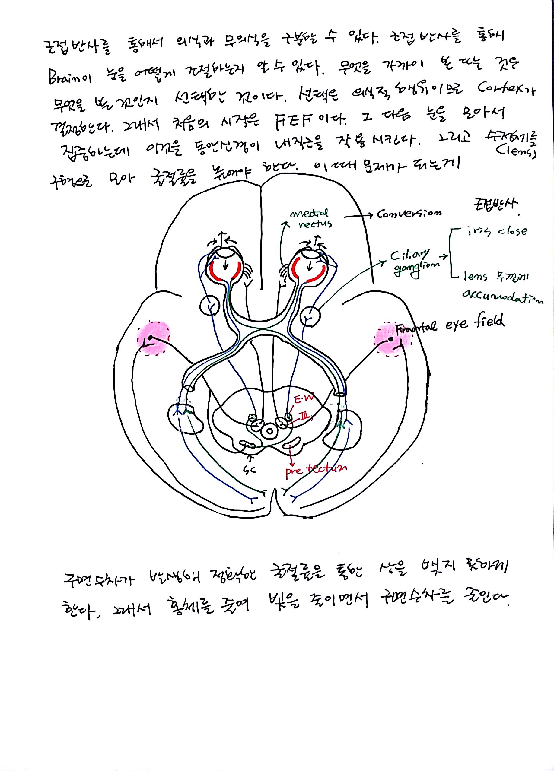 제 6회 특별한 뇌과학 1강 기억 (6).jpg