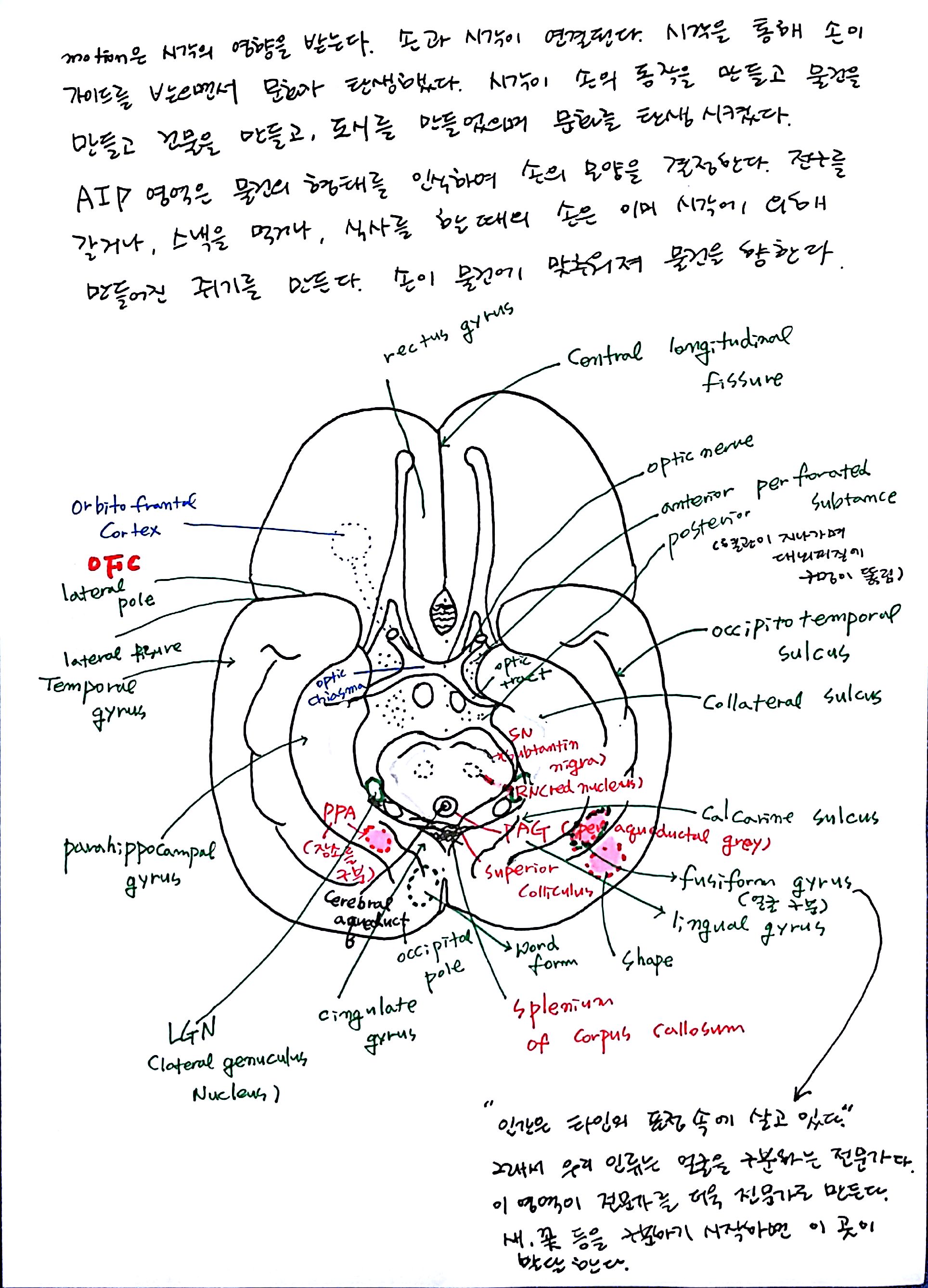 제 6회 특별한 뇌과학 1강 기억 (3).jpg