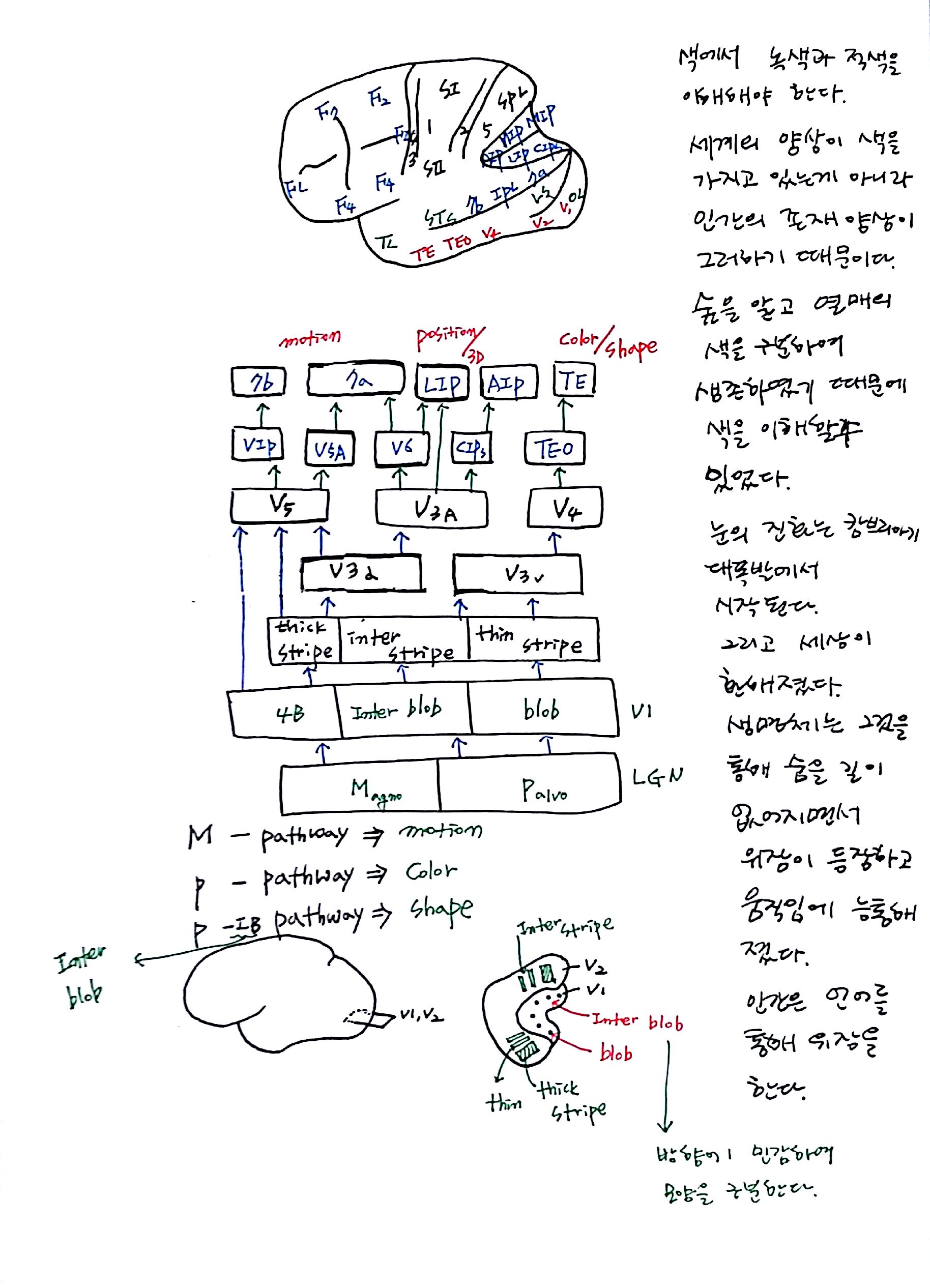 제 6회 특별한 뇌과학 1강 기억 (7).jpg
