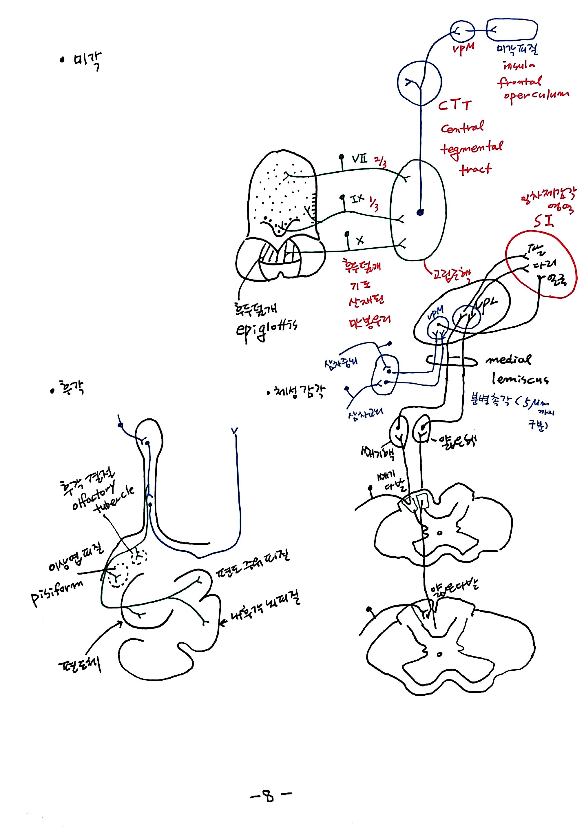 제 6회 특별한 뇌과학 6강 뇌간 (8).jpg