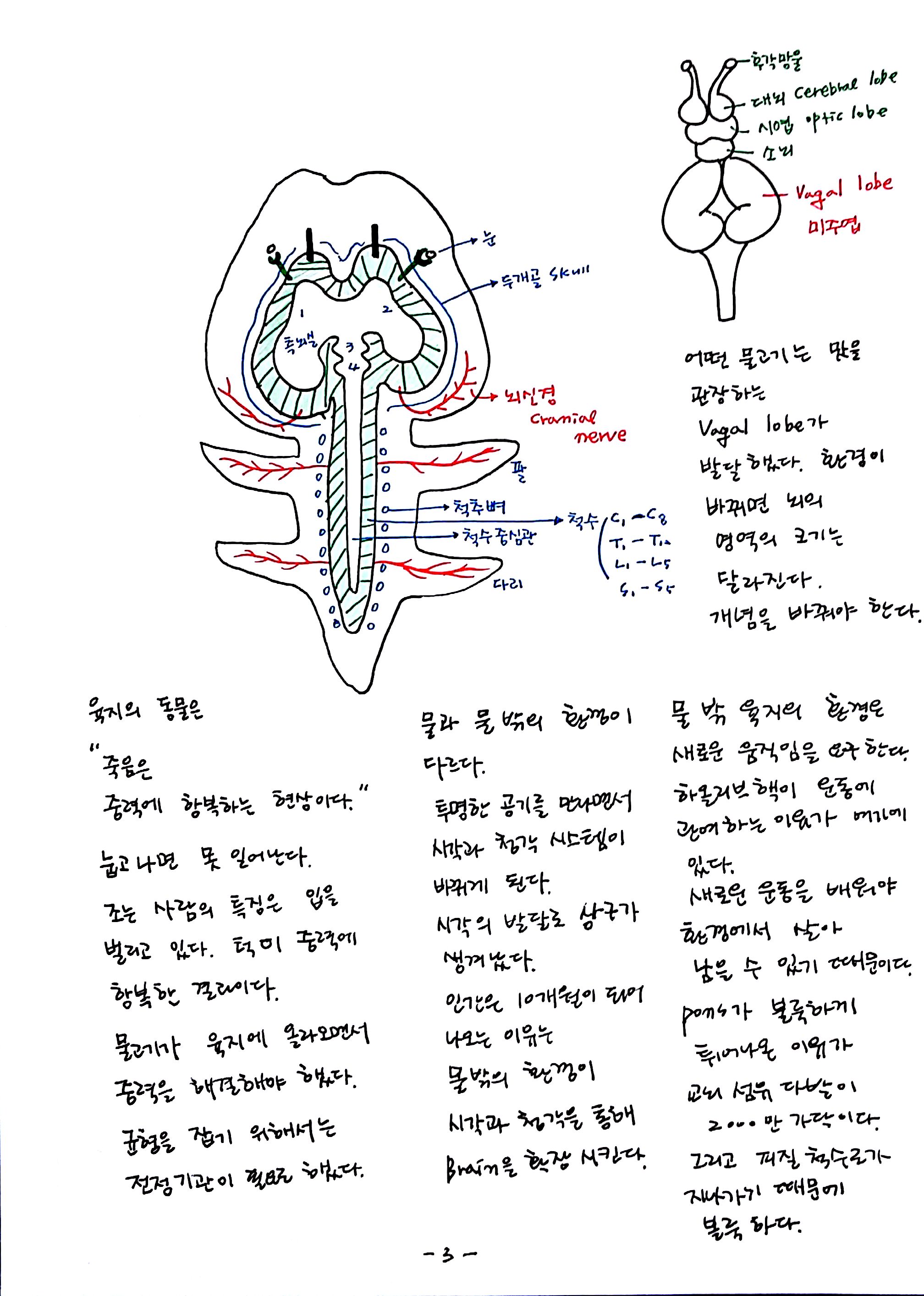 제 6회 특별한 뇌과학 6강 뇌간 (3).jpg