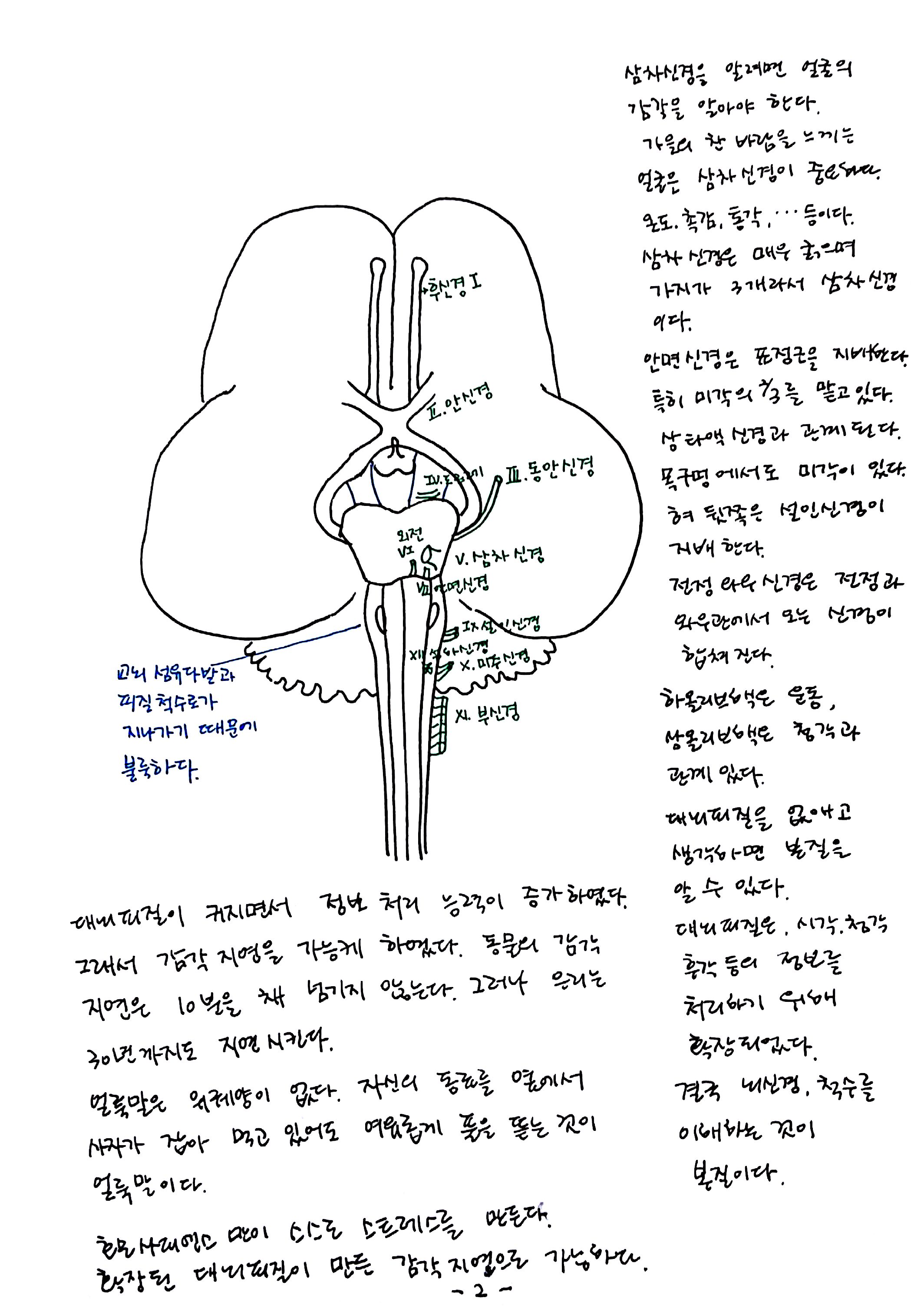 제 6회 특별한 뇌과학 6강 뇌간 (2).jpg