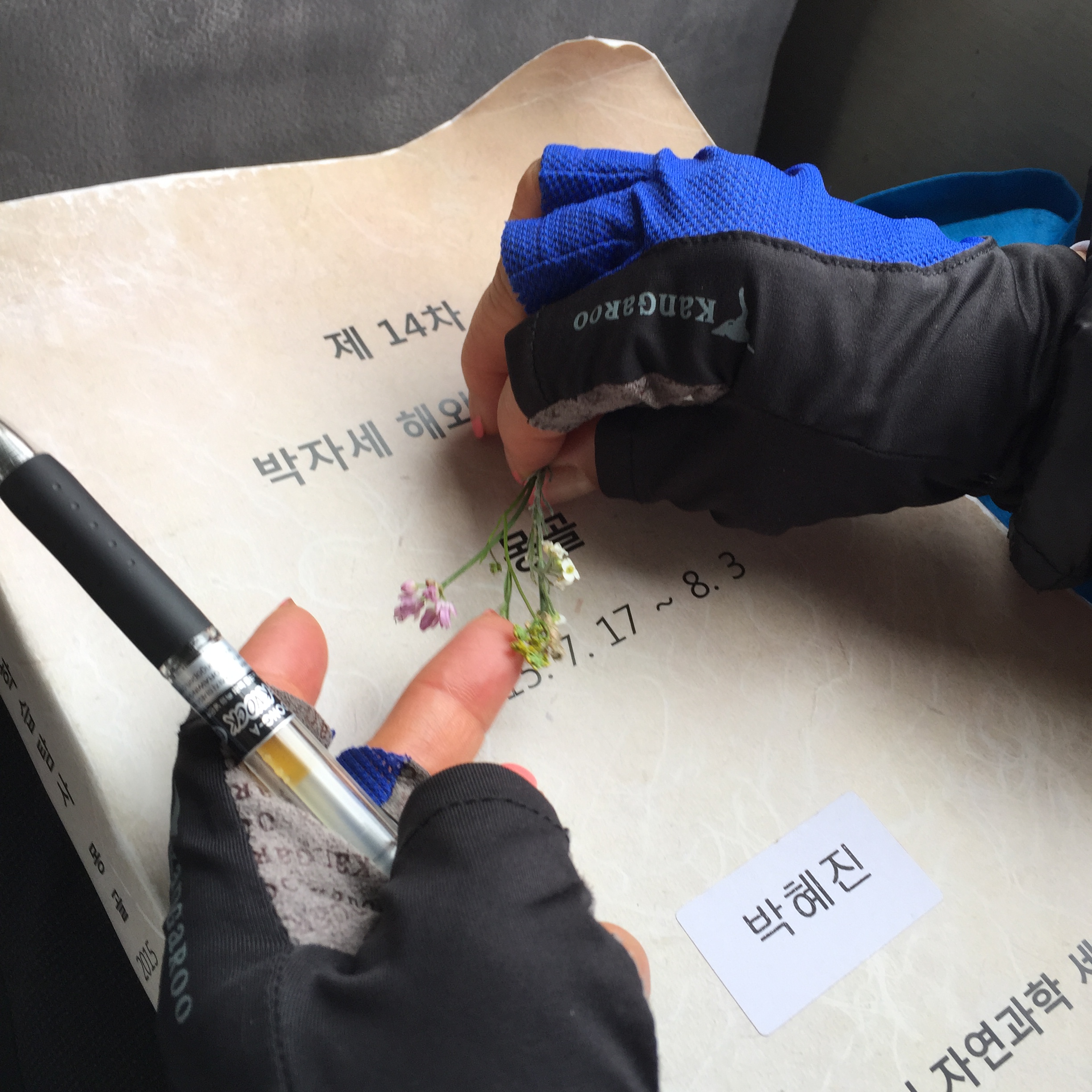 IMG_3496.JPG : 몽골 탐사 2진(읽고 듣고 또 읽고)