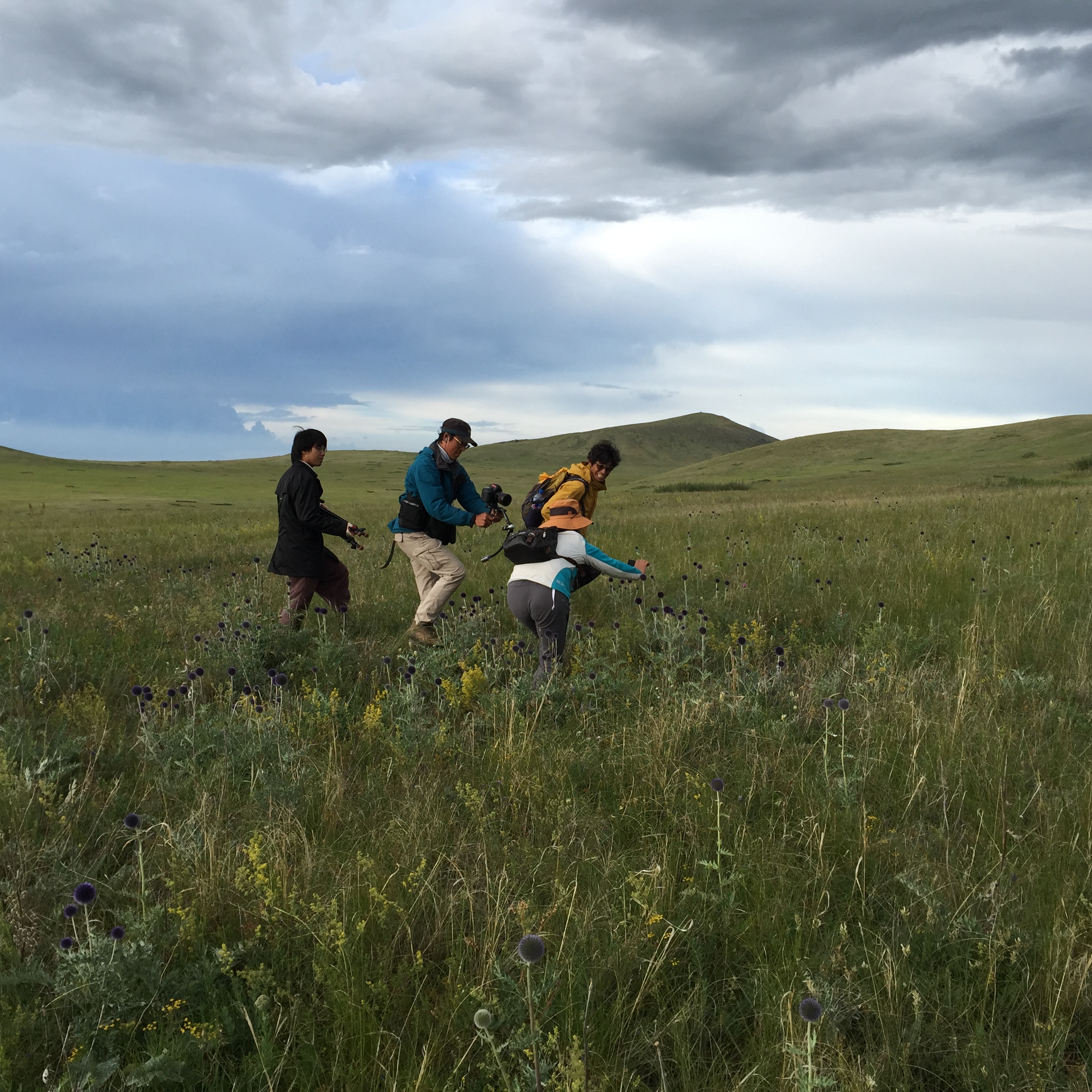 IMG_3607.JPG : 몽골 탐사 2진(풍경에 빠지다)