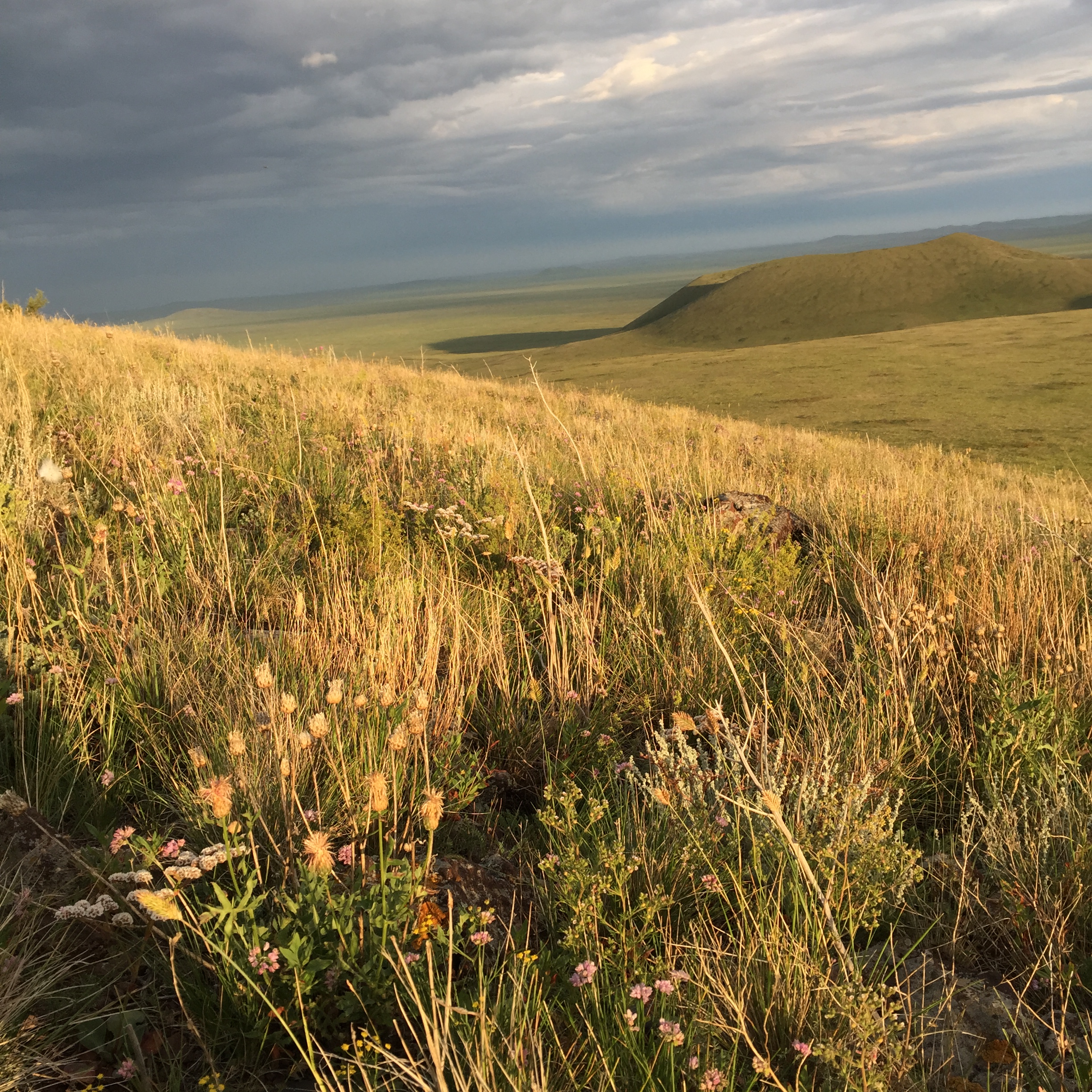 IMG_3723.JPG : 몽골 탐사 2진(풍경에 빠지다)