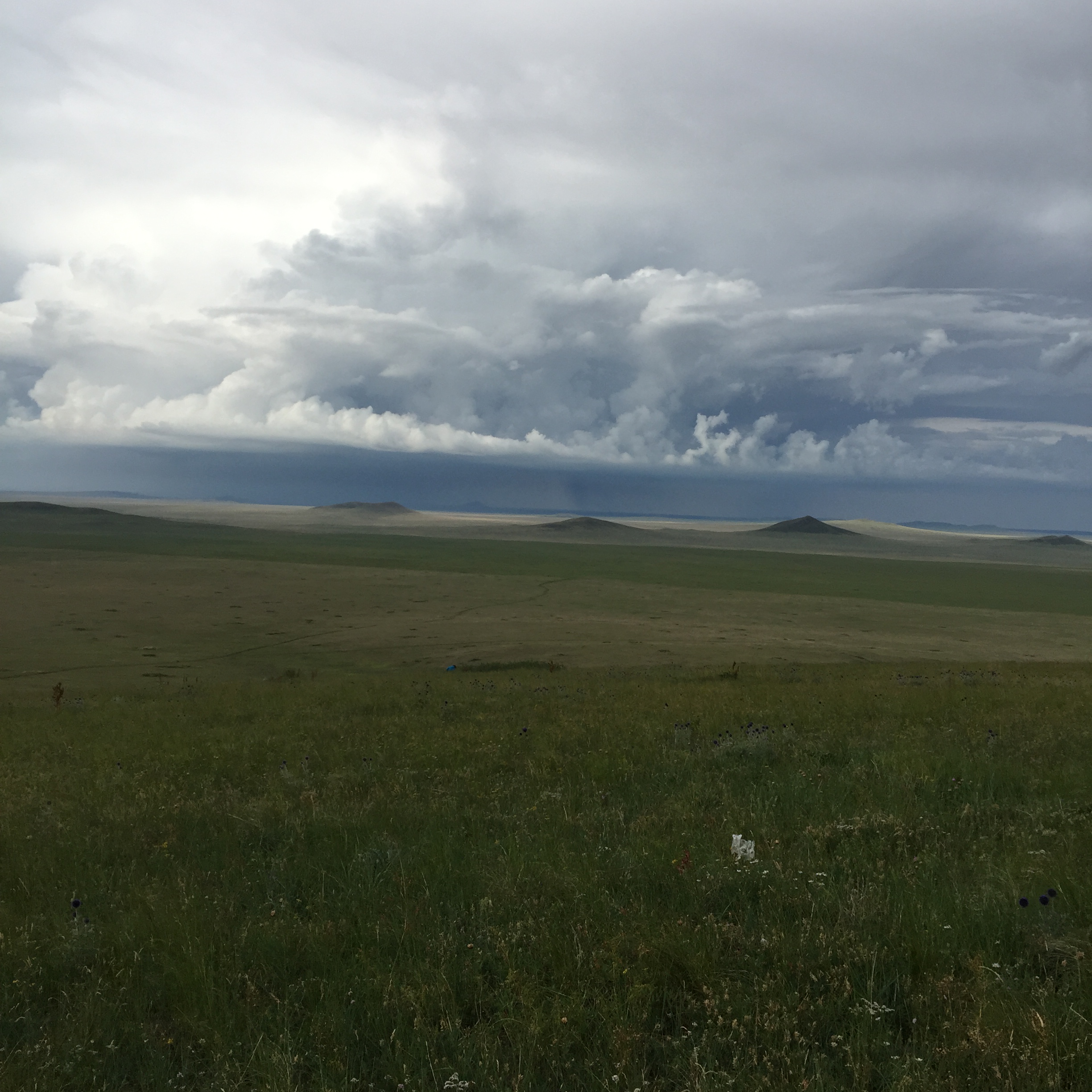 IMG_3592.JPG : 몽골 탐사 2진(풍경에 빠지다)