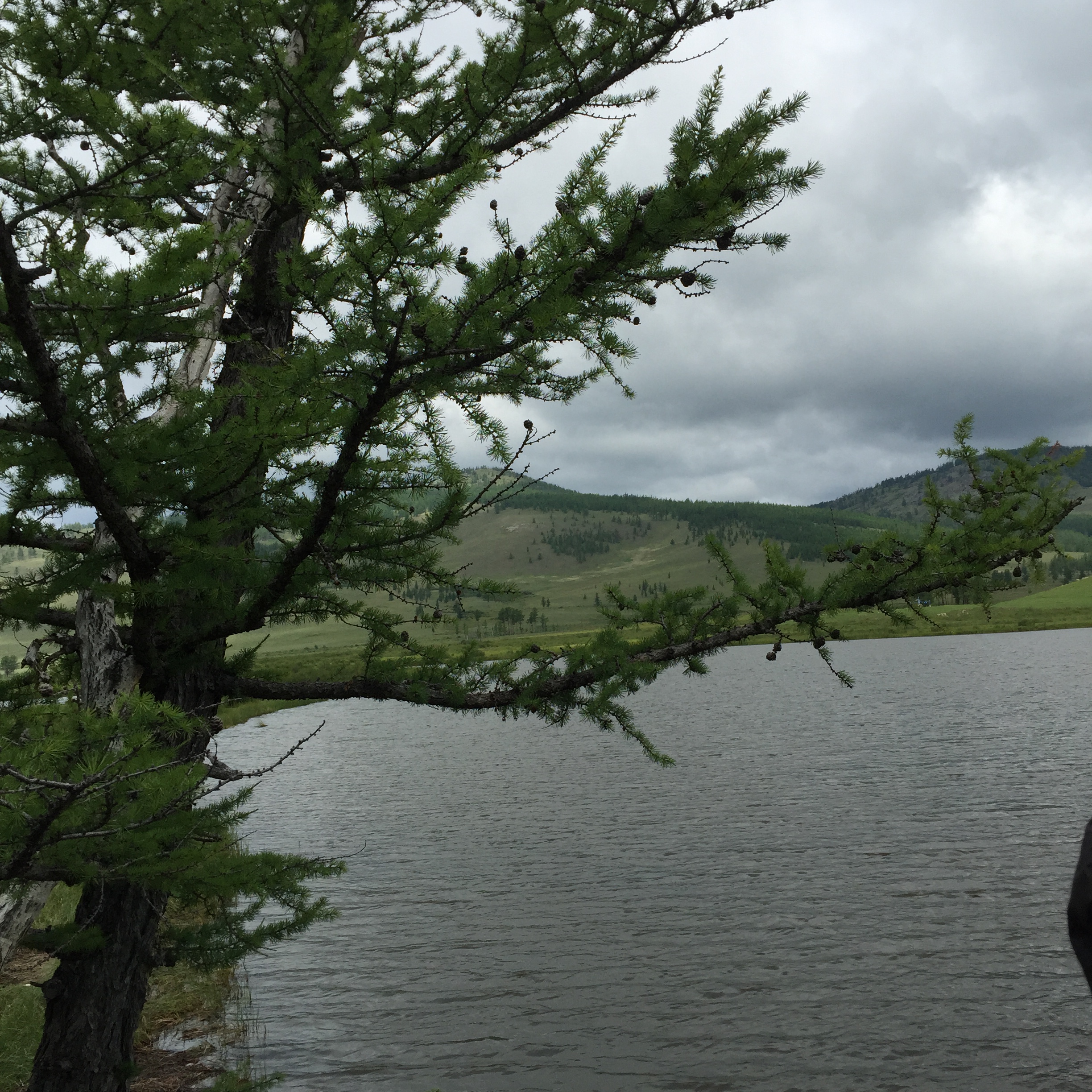 IMG_4349.JPG : 몽골 탐사 2진(우리들 이야기 끝)