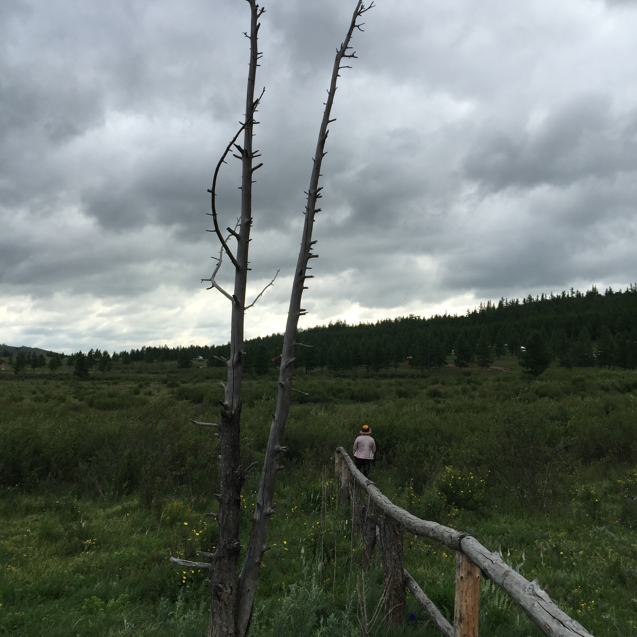 IMG_4279.JPG : 몽골 탐사 2진(우리들 이야기 끝)