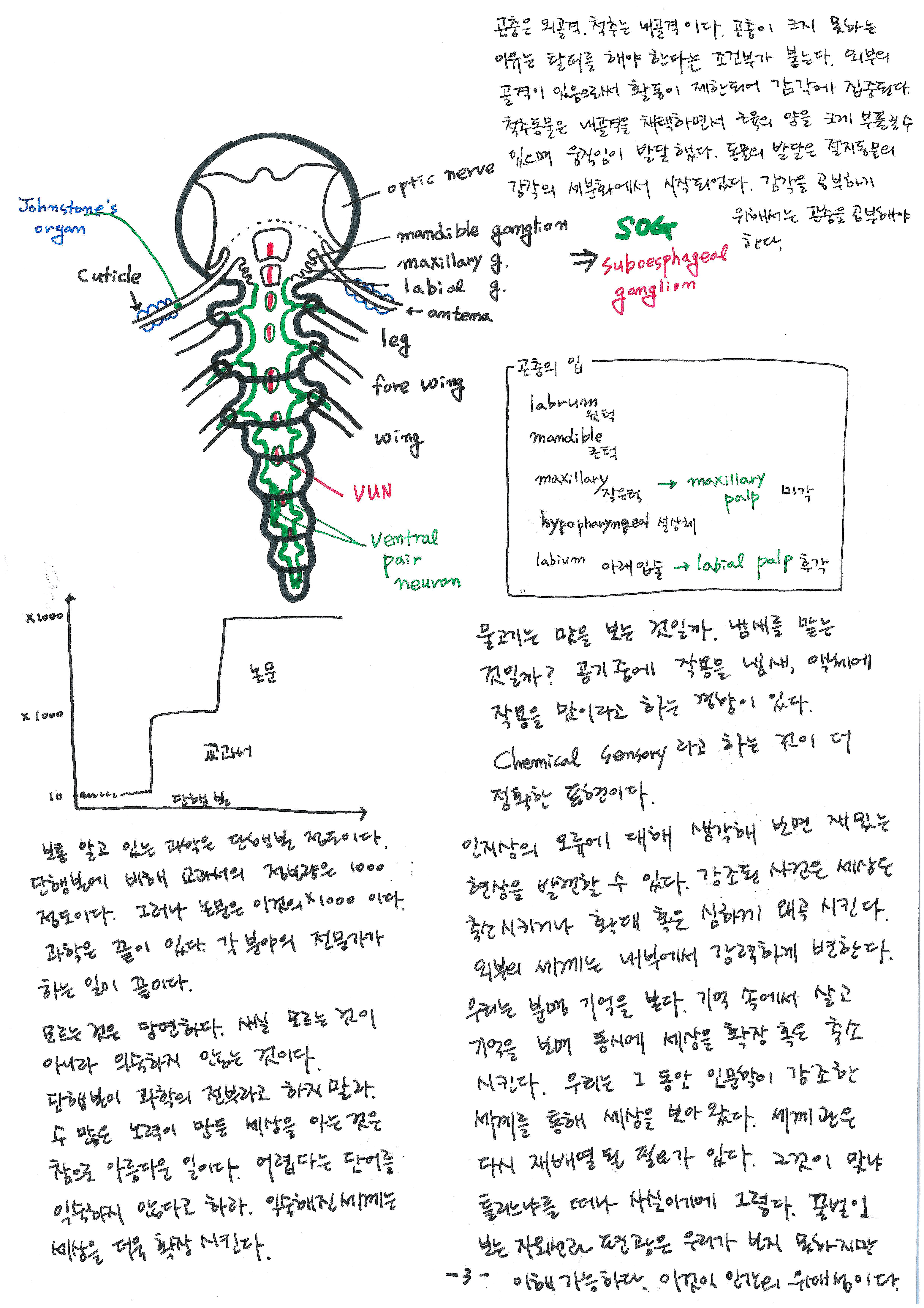 제 7회 특별한 뇌과학 1강 곤충의 뇌 스캔본 (2).jpg