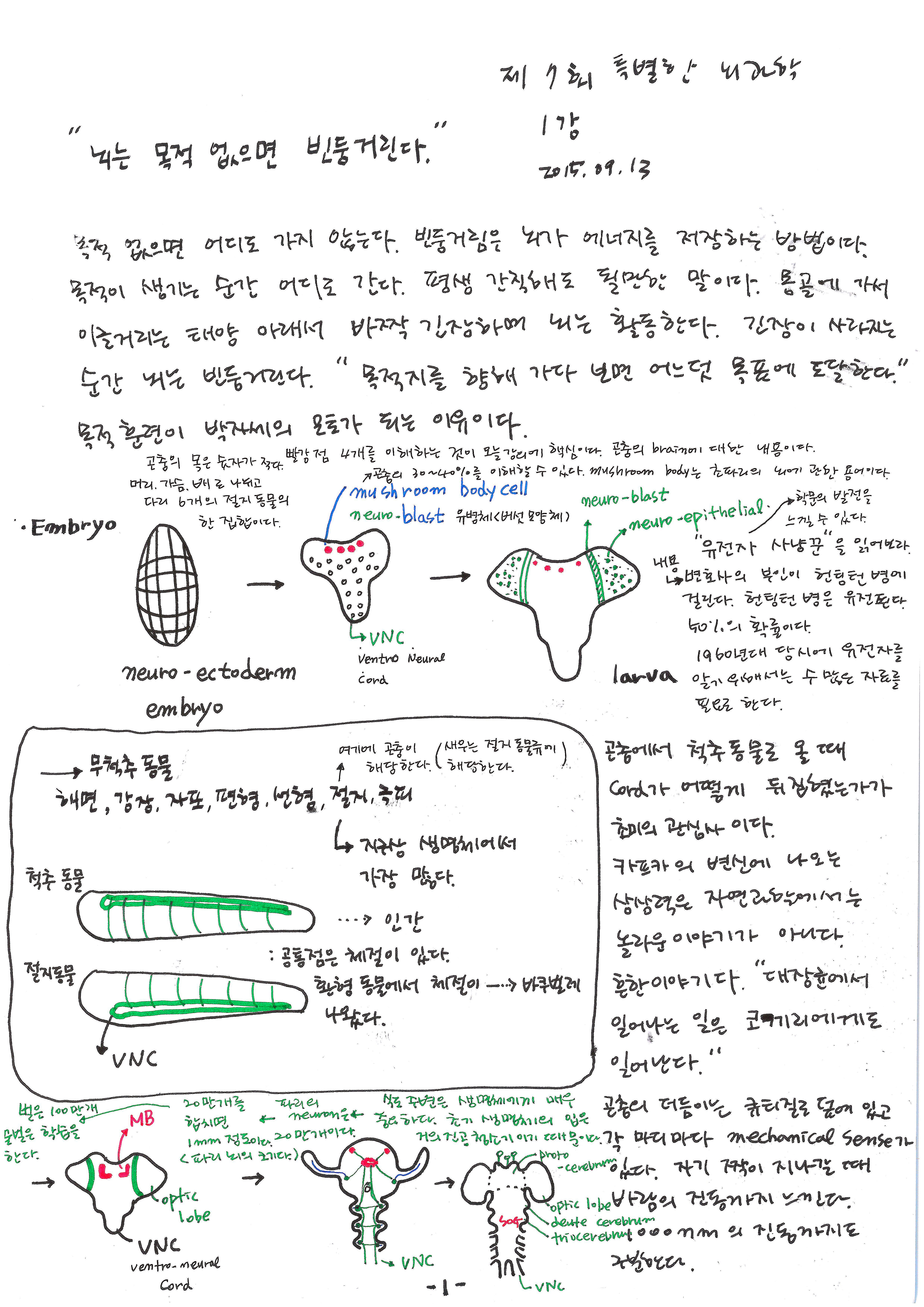 제 7회 특별한 뇌과학 1강 곤충의 뇌 스캔본.jpg