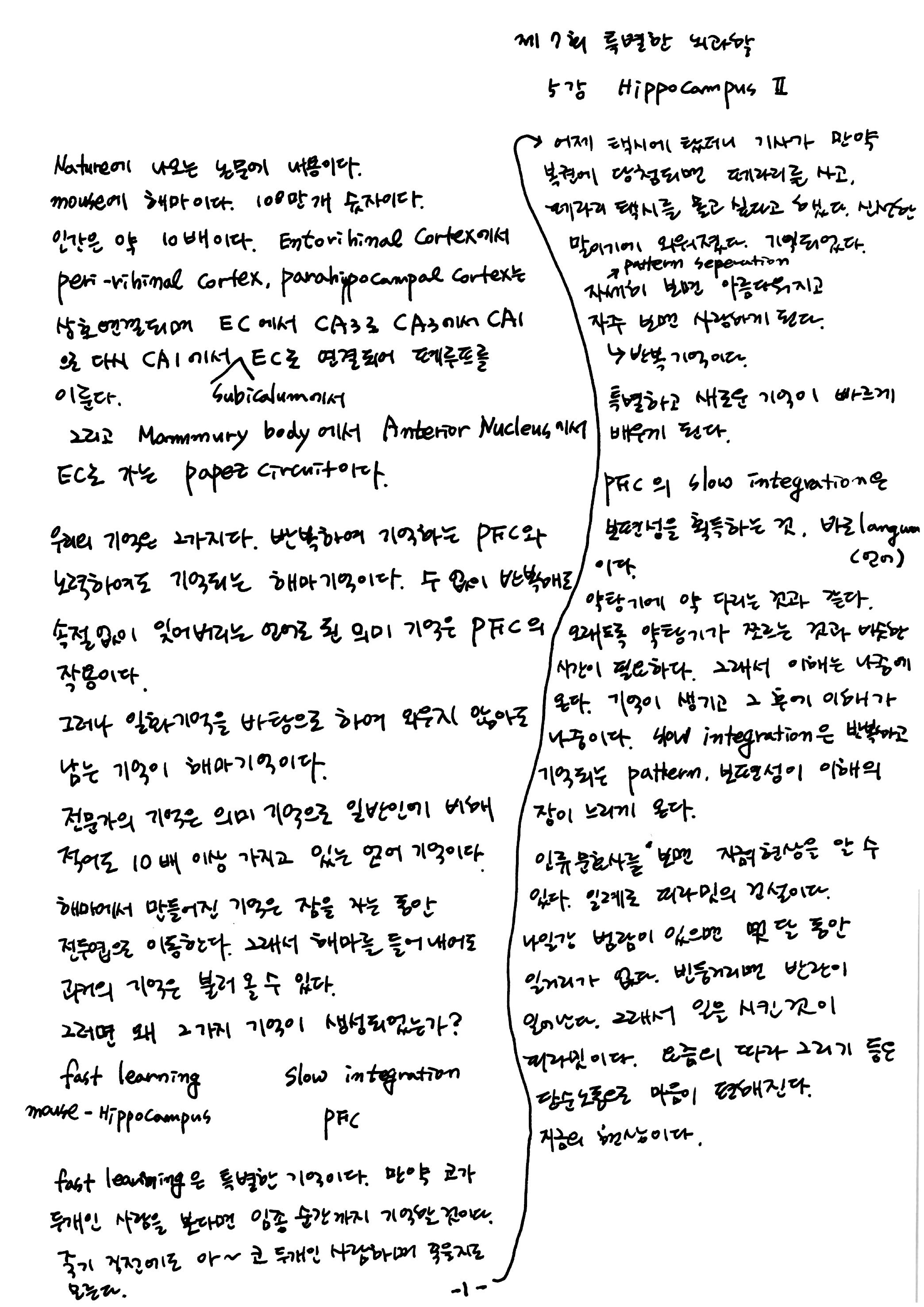 제 7회 특별한 뇌과학 5강 hippocampus2 1.jpg