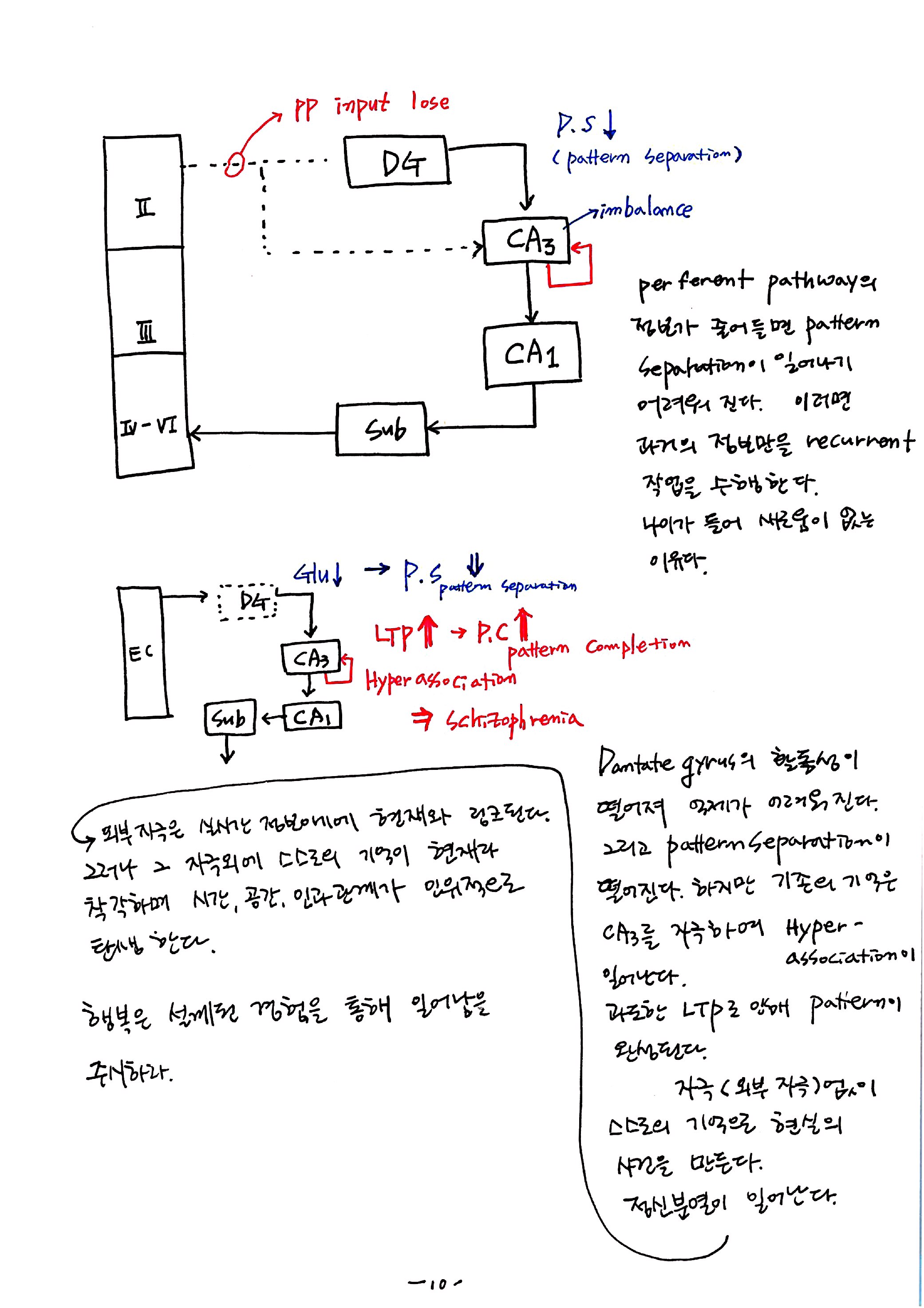 제 7회 특별한 뇌과학 5강 hippocampus2 10.jpg